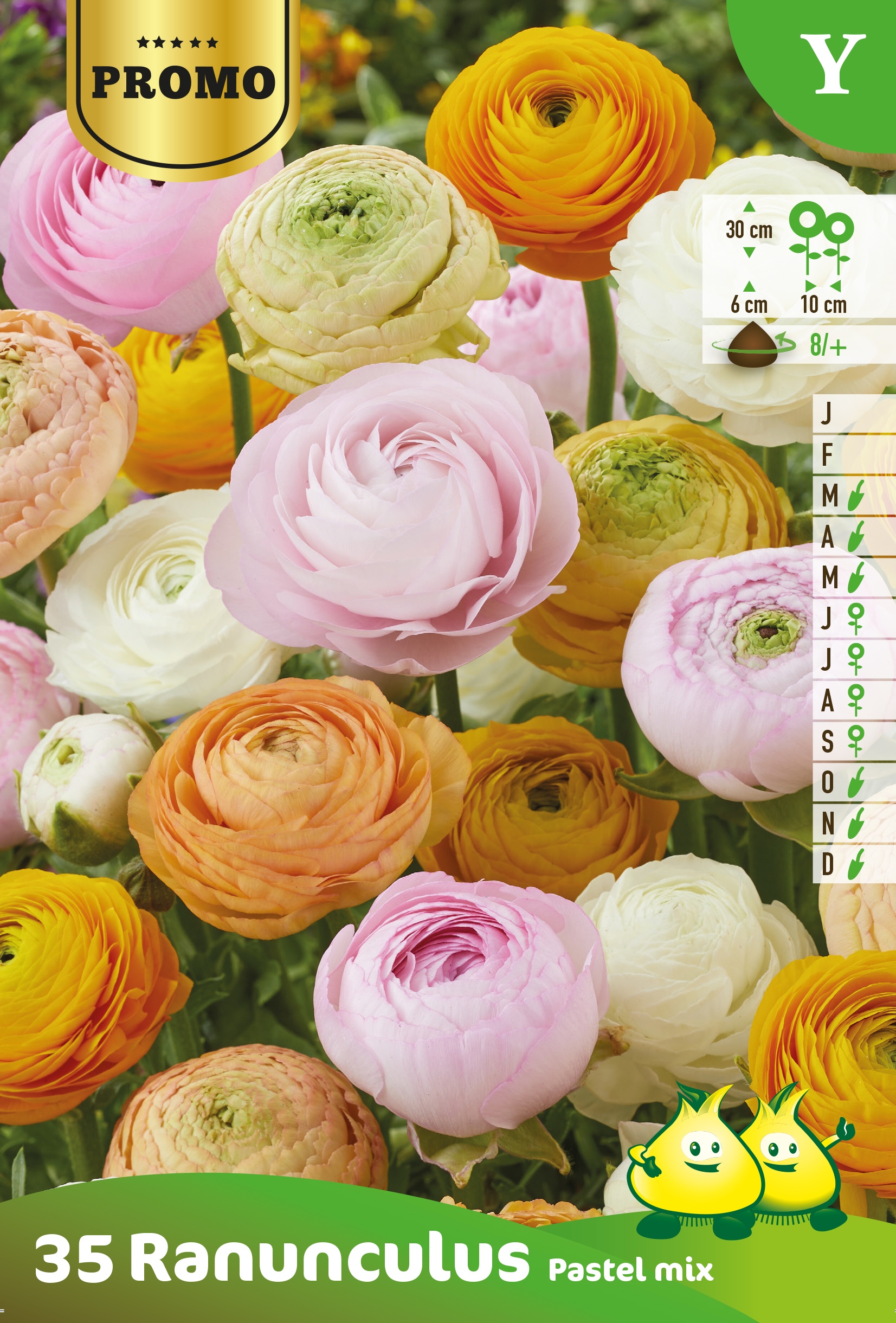 ZAKJES RANUNCULUS PASTEL MIX 35 ST Y 