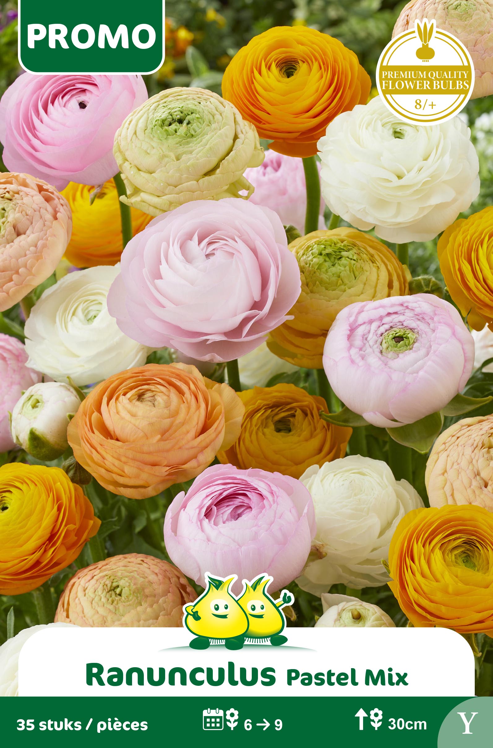 ZAKJES RANUNCULUS PASTEL MIX 35 ST Y