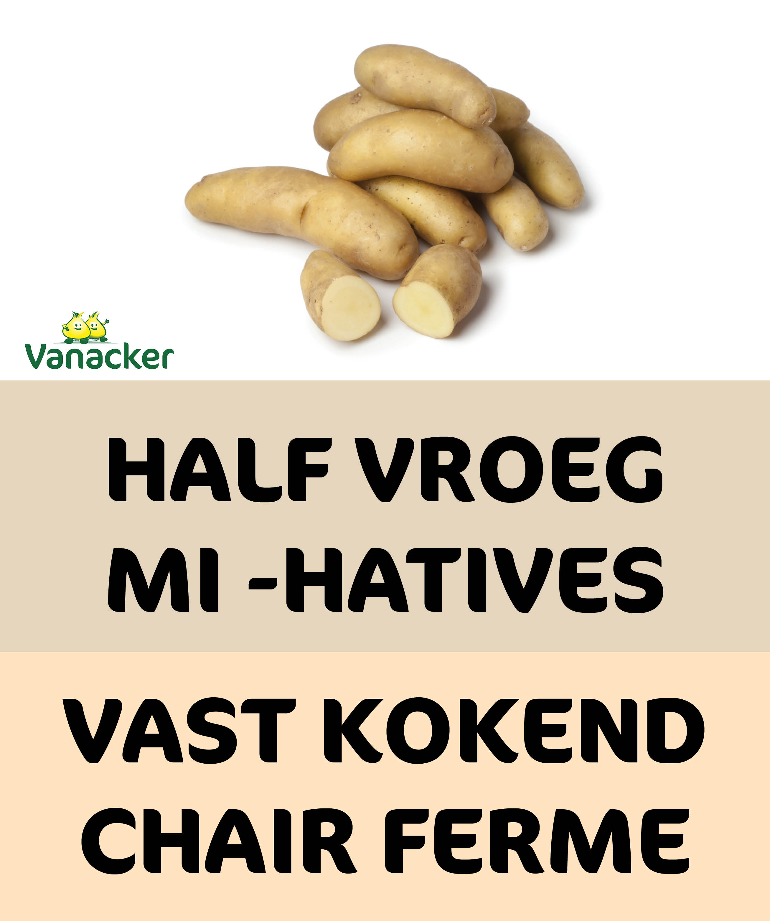 25 planten Ratte 25/32