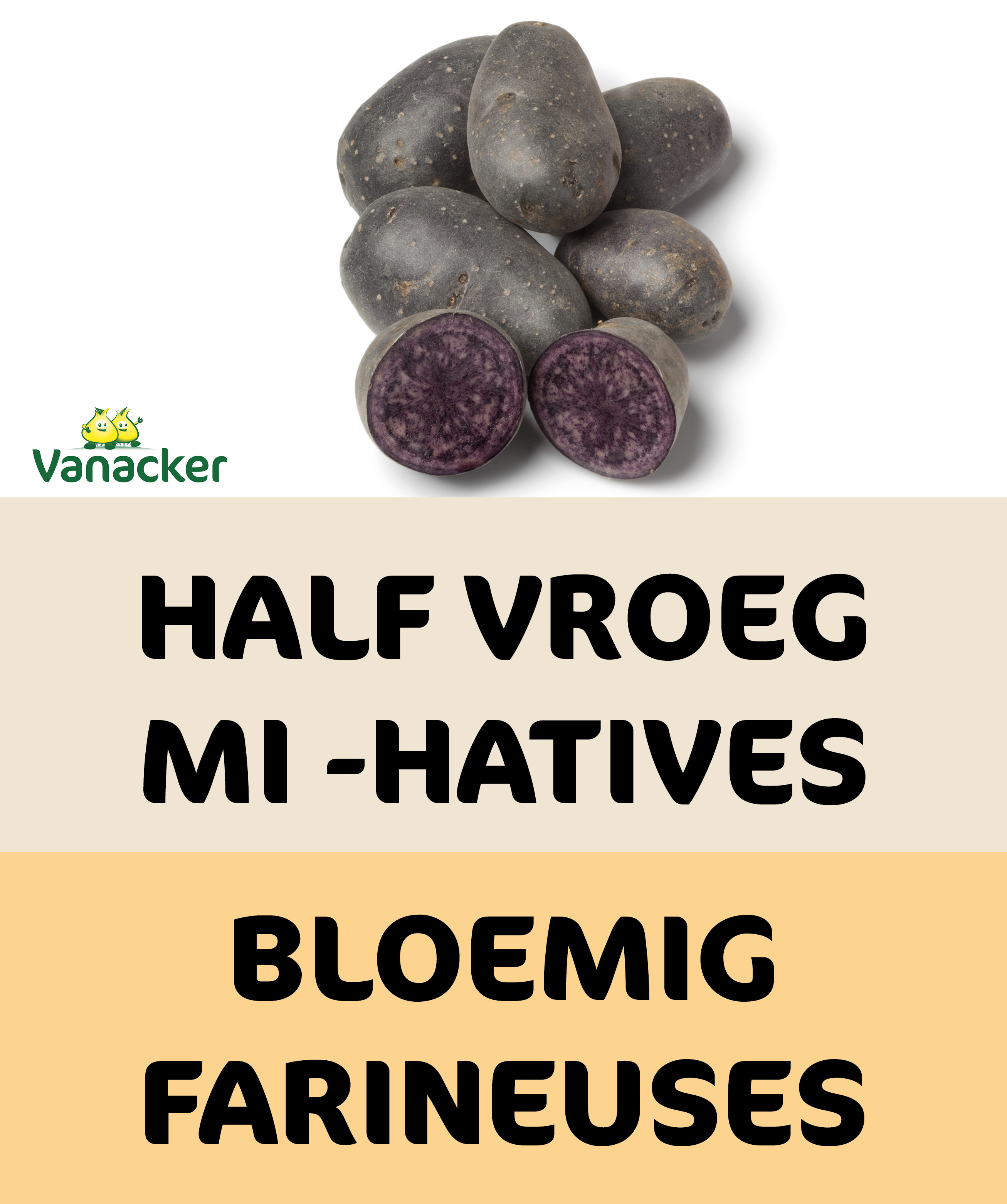 25 platen Bleue d'artois 28/45