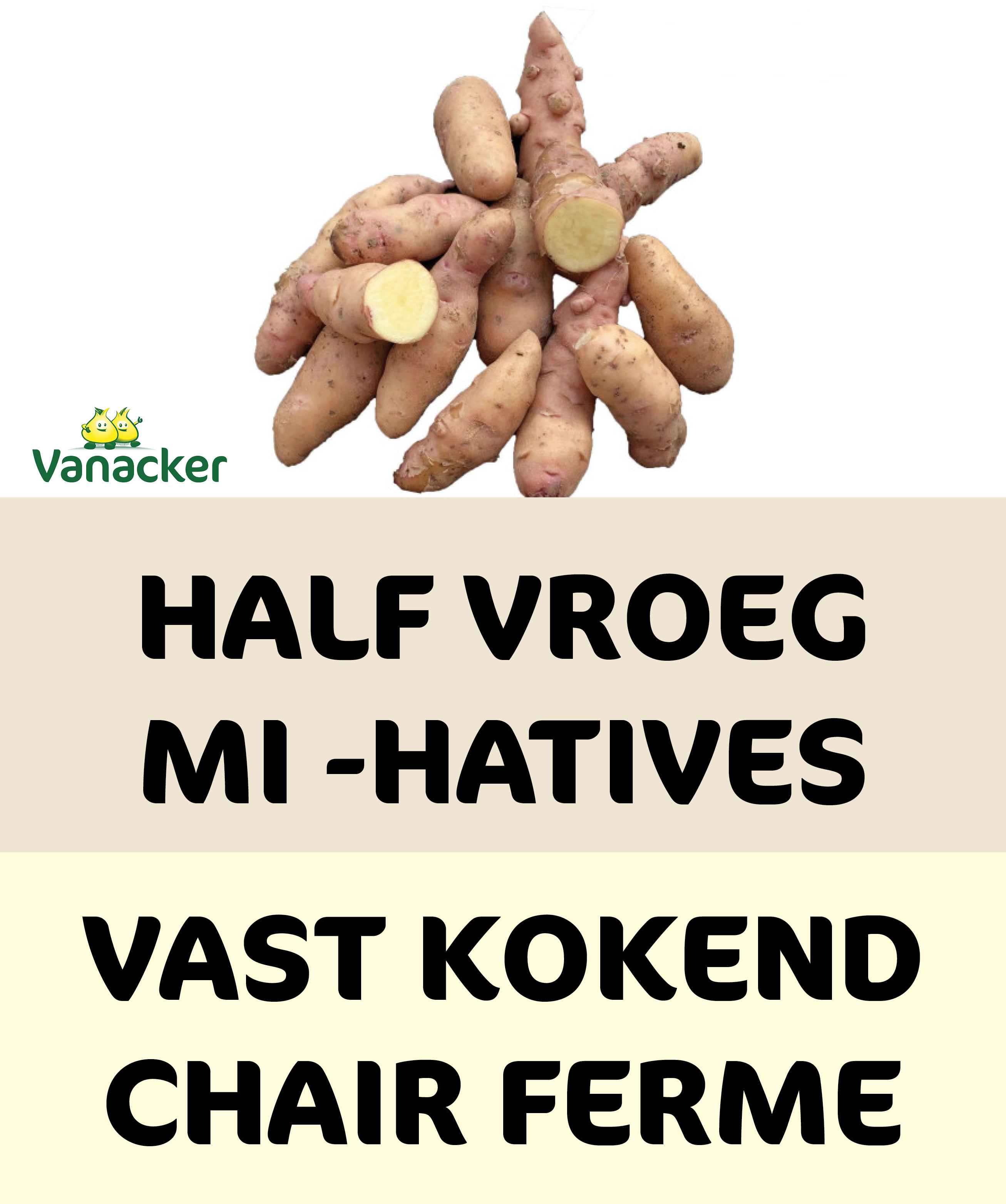 25 planten Corne de Gatte 25/35