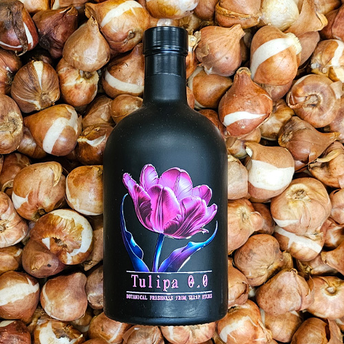 Tulipa 0,0 - 500 ml