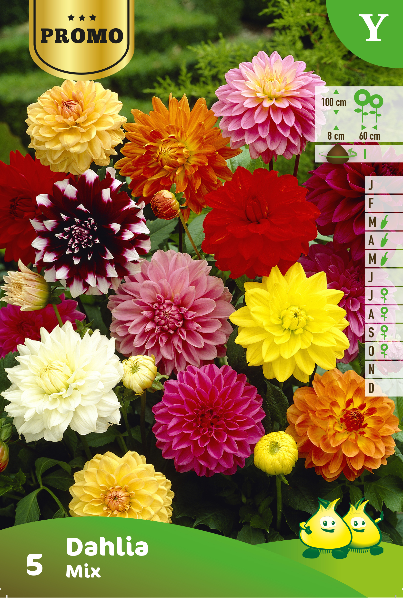 Sachets Dahlia Deco mix 4 pieces