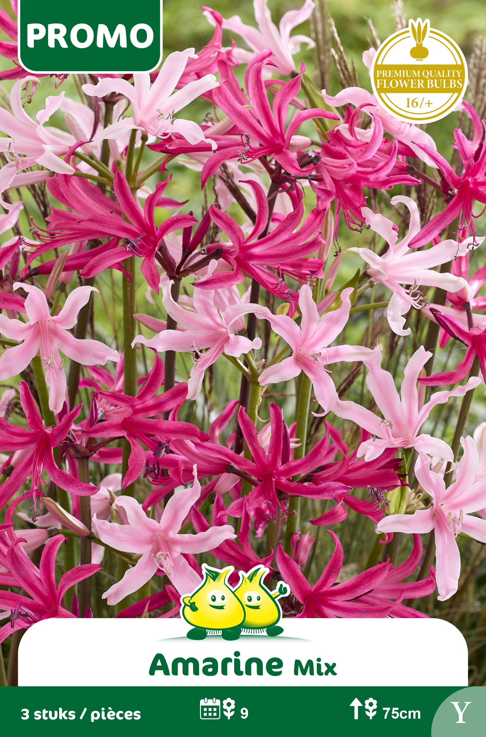 Zakjes Amarine mix 3 bollen