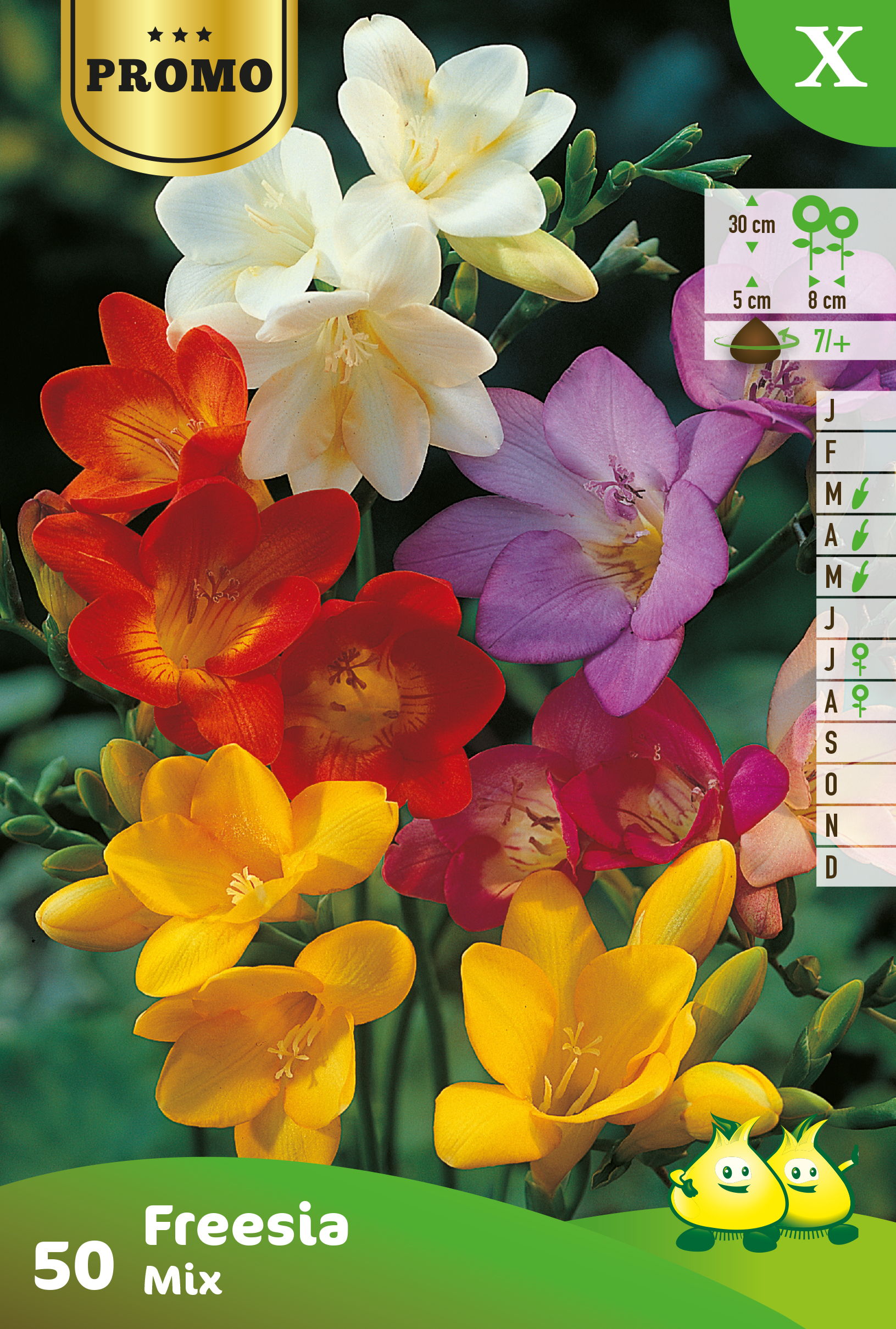 Zakjes Freesia Mix 50 st