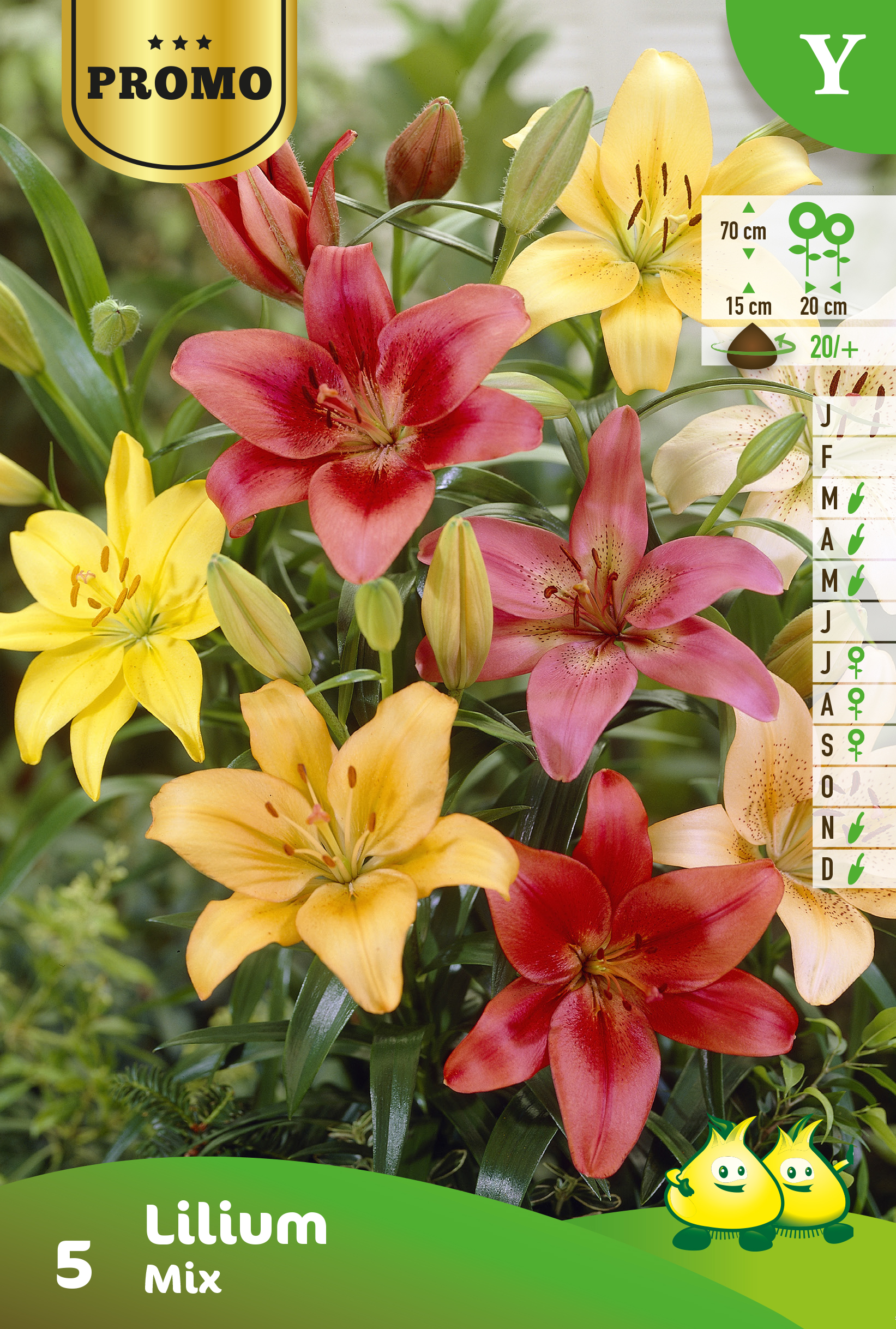 Promobox Lilium mix 15 * 4