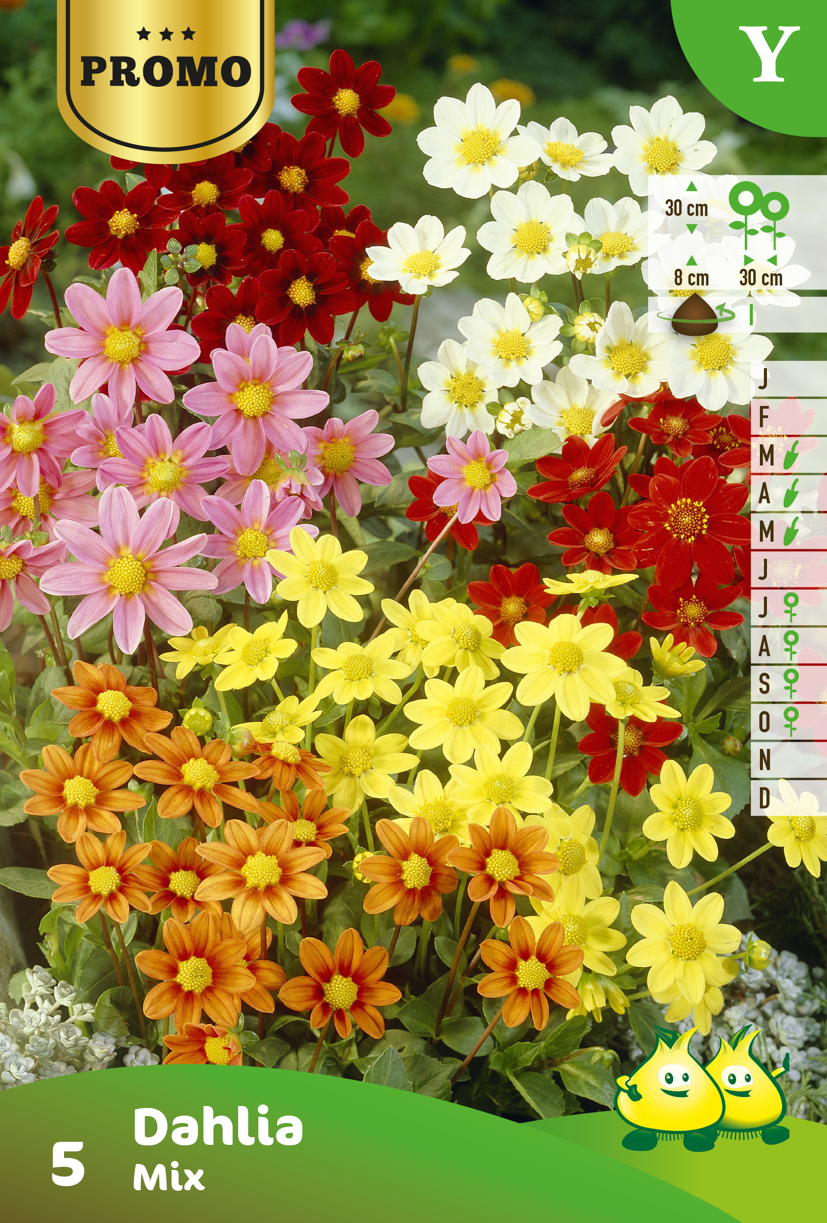 Zakjes Dahlia Topmix 4 st