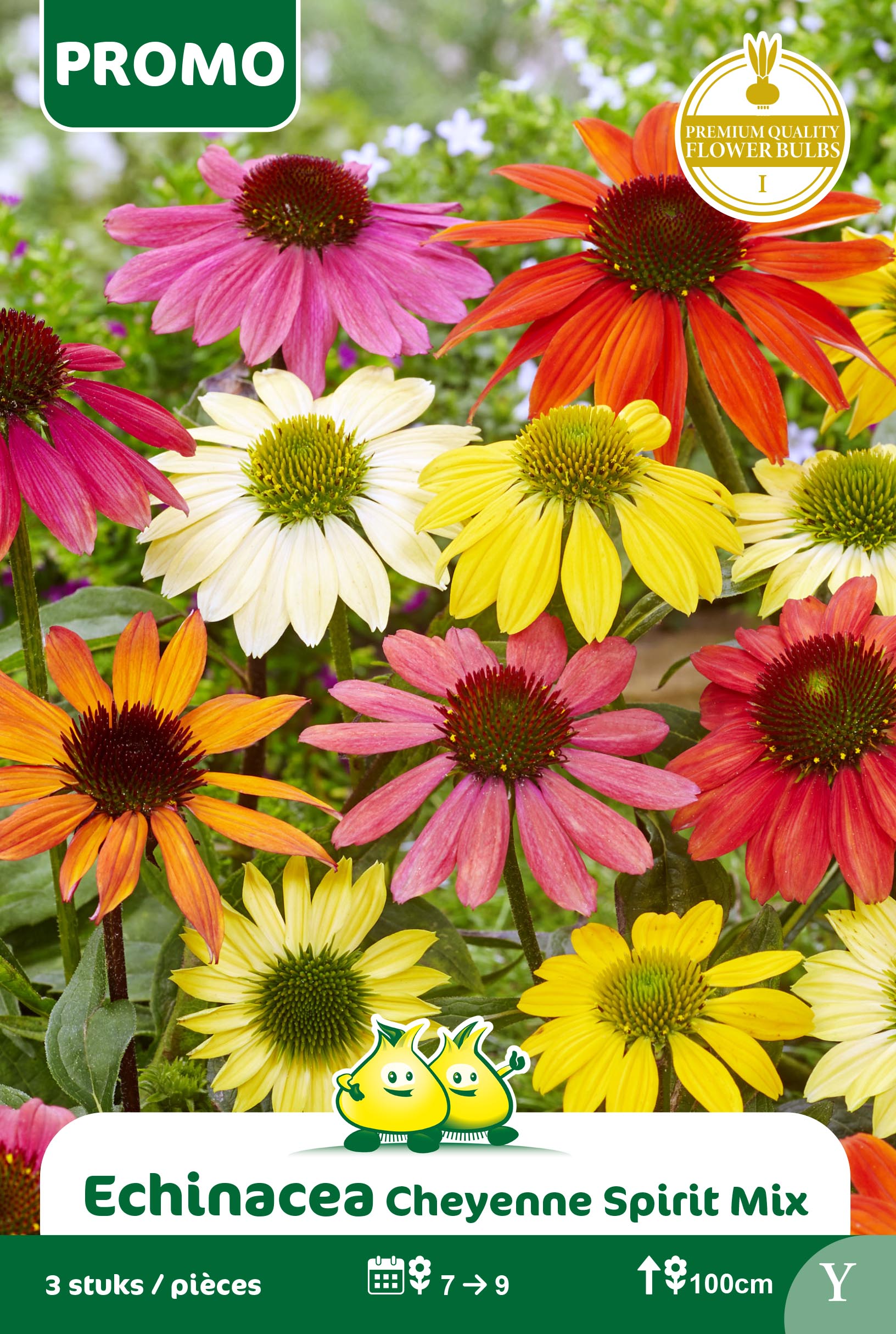 Sachets ECHINACEA CHEYENNE SPIRIT MIX 3P