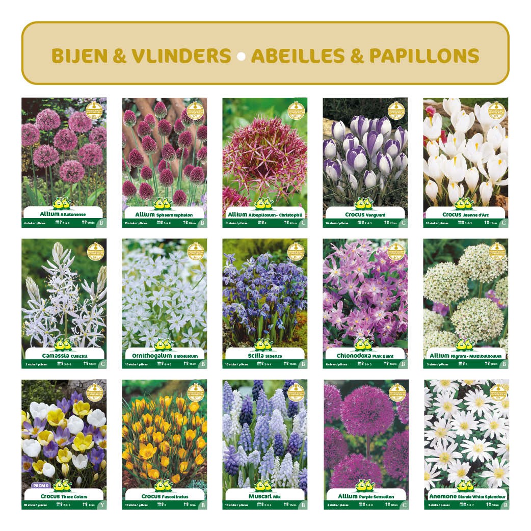 REASSORT 15*5 sachets instagram Abeilles et Papillons