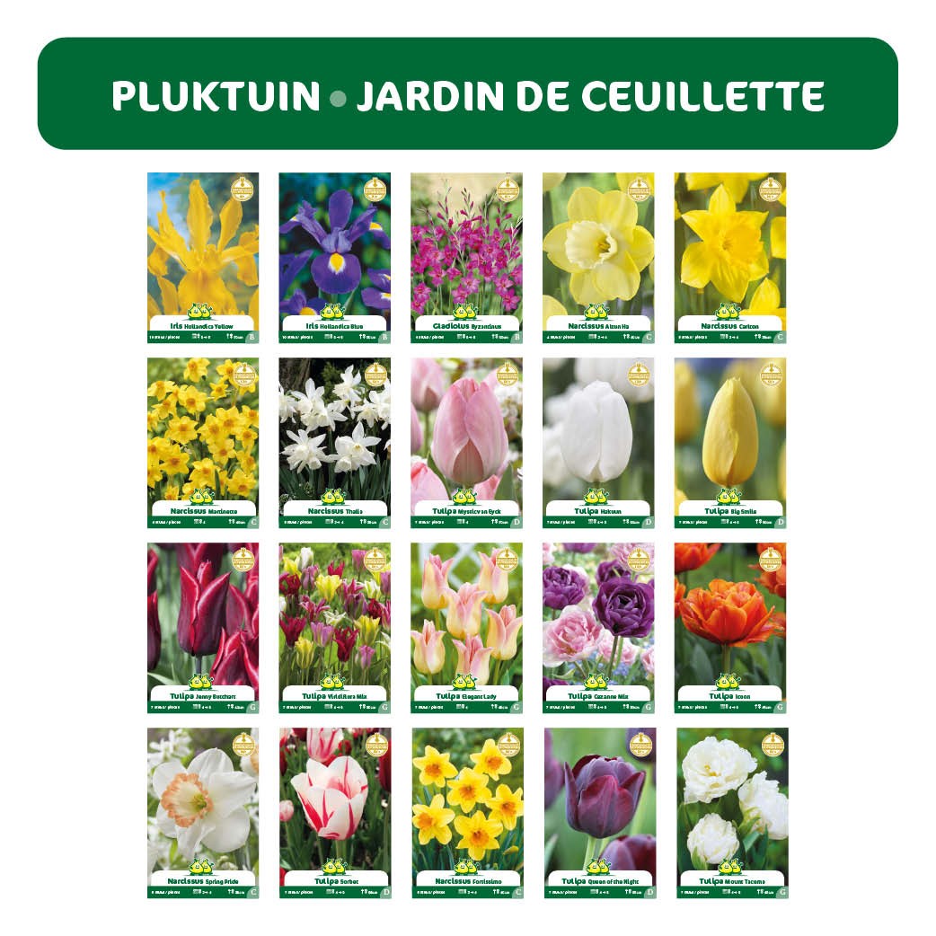 REASSORT 20*5 sachets instagram Jardin de Cueillette