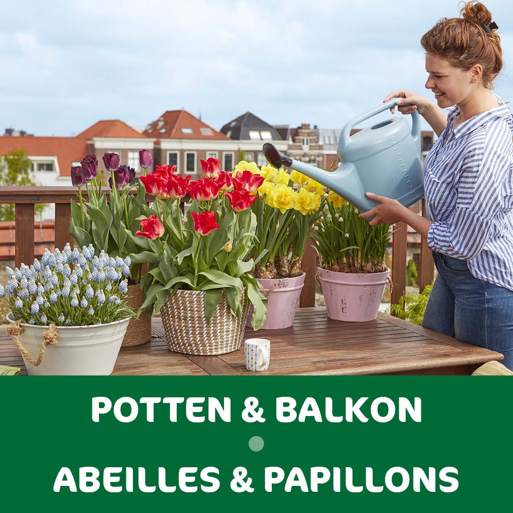 REASSORT 15*5 sachets instagram Pots et Balcon