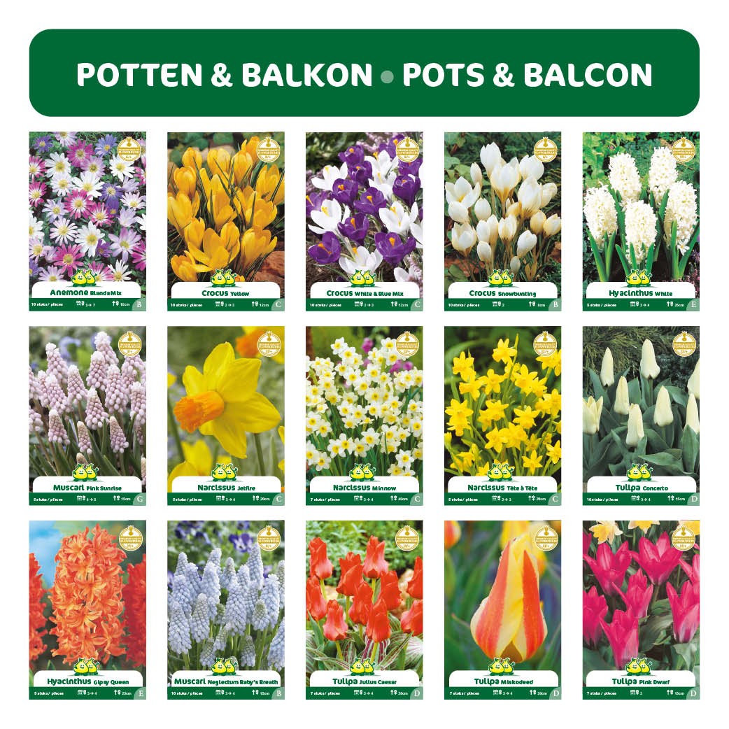 REASSORT 15*5 sachets instagram Pots et Balcon