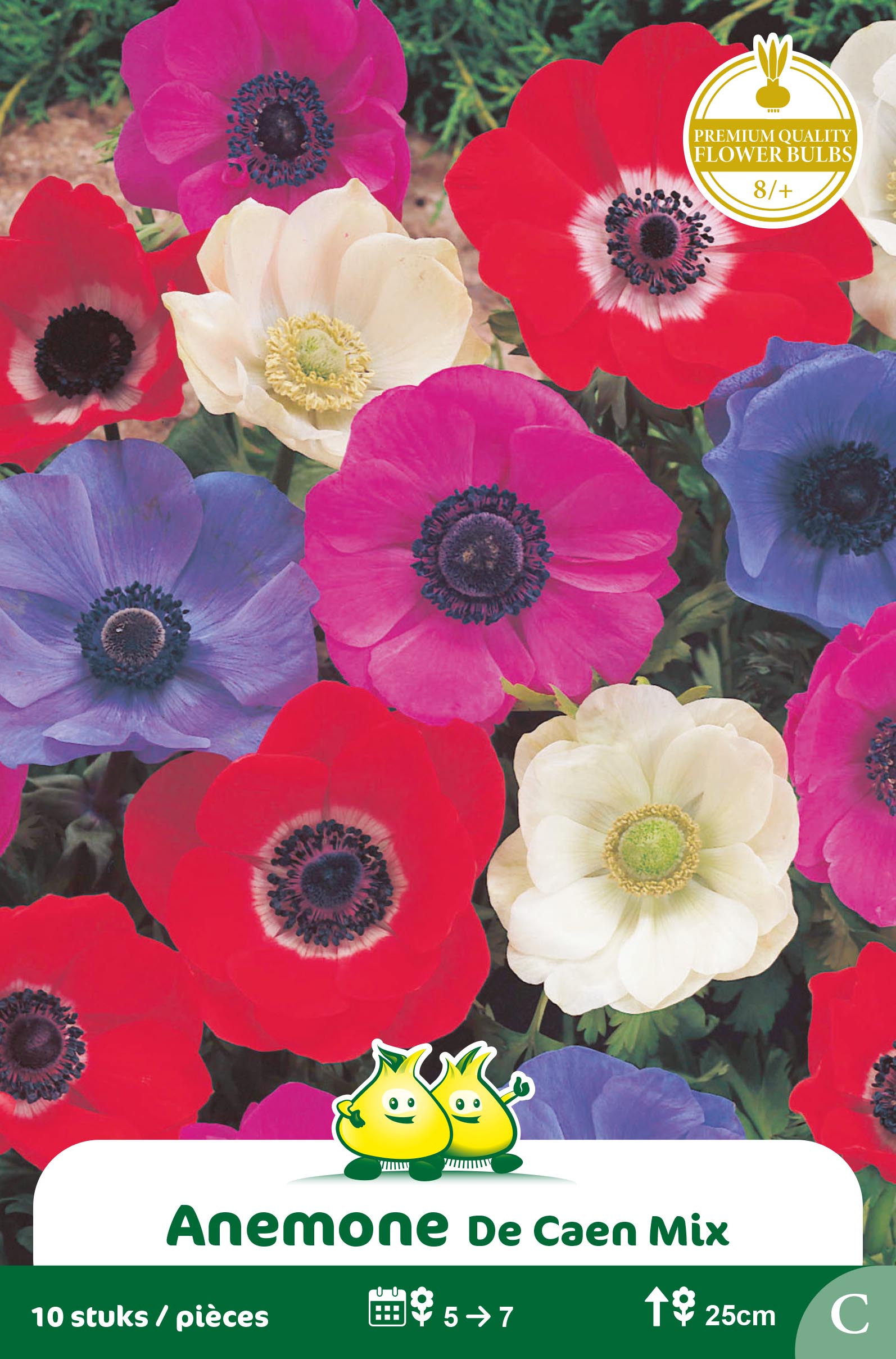 ZAKJES ANEMONE DE CAEN B
