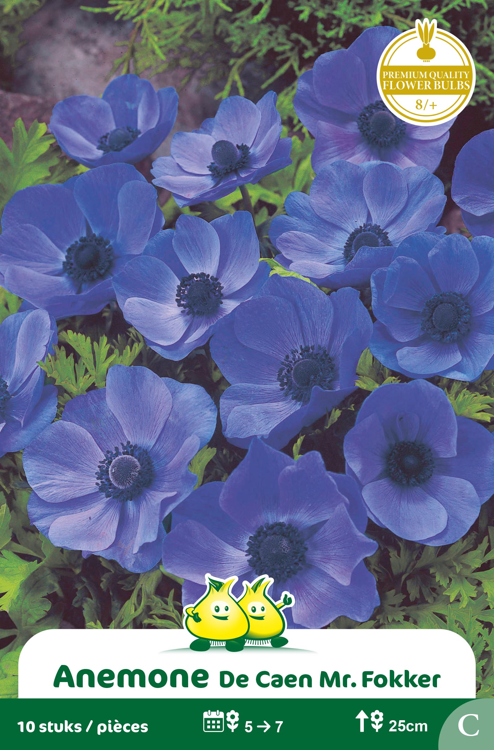 ZAKJES ANEMONE DE CAEN MR FOKKER B