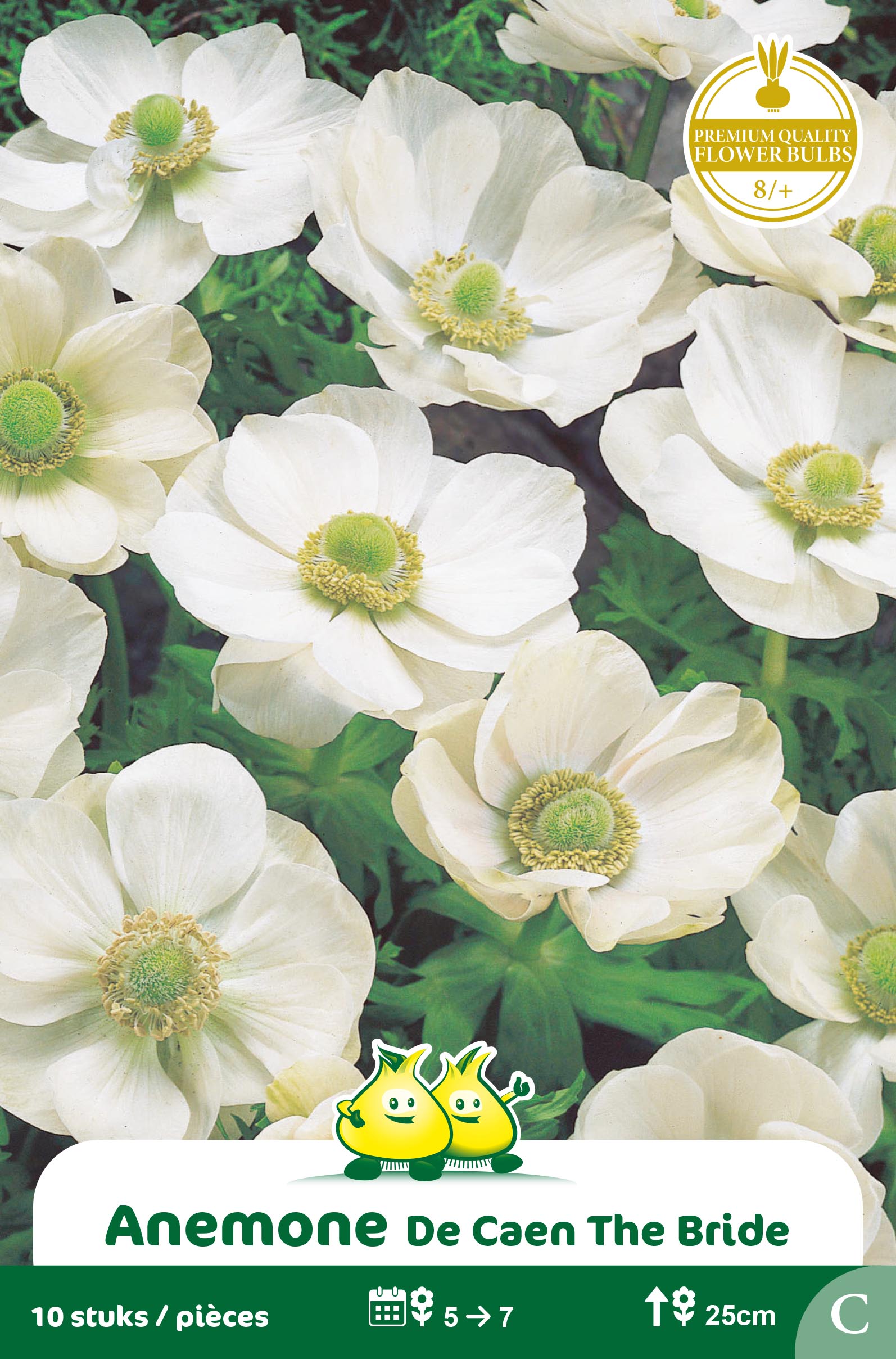 ZAKJES ANEMONE DE CAEN THE BRIDE B