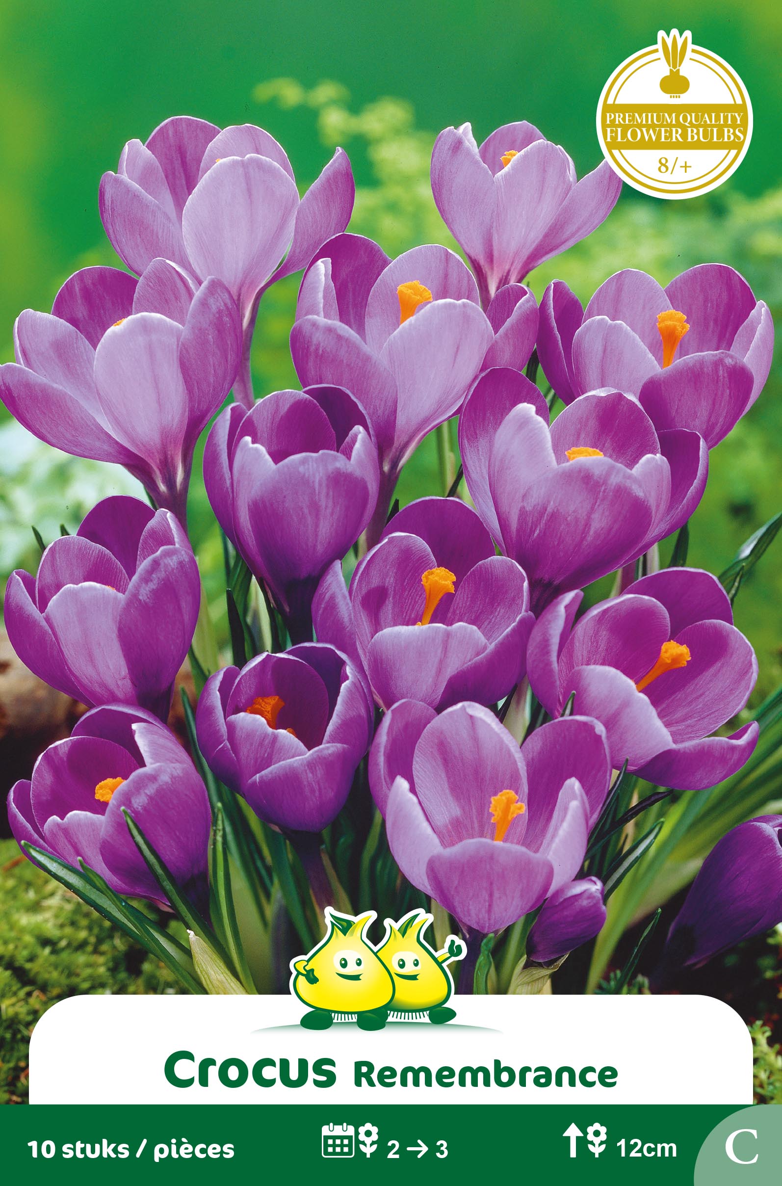 ZAKJES CROCUS REMMERBRANCHE C