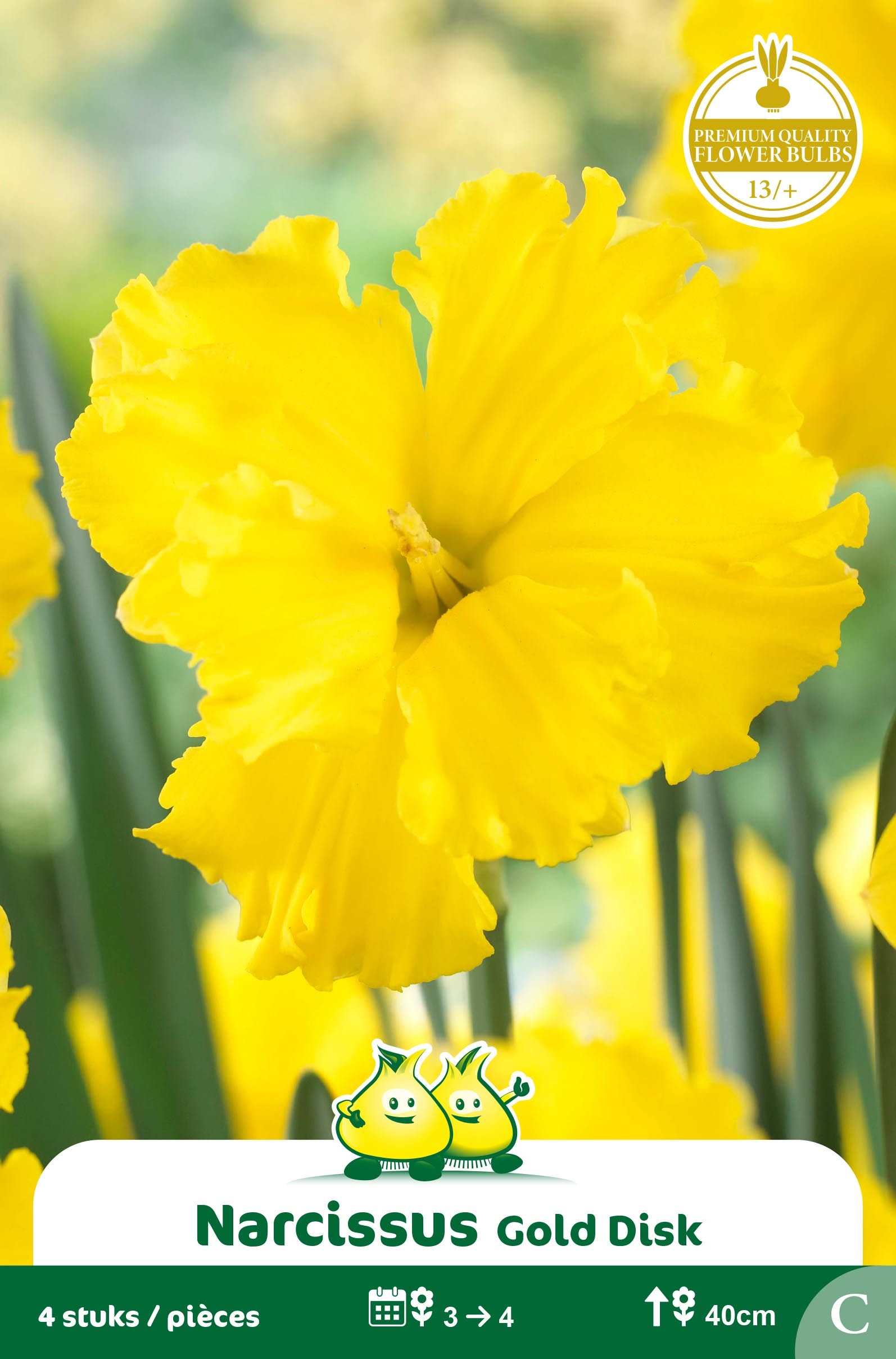 SACHET NARCIS GOLD DISK