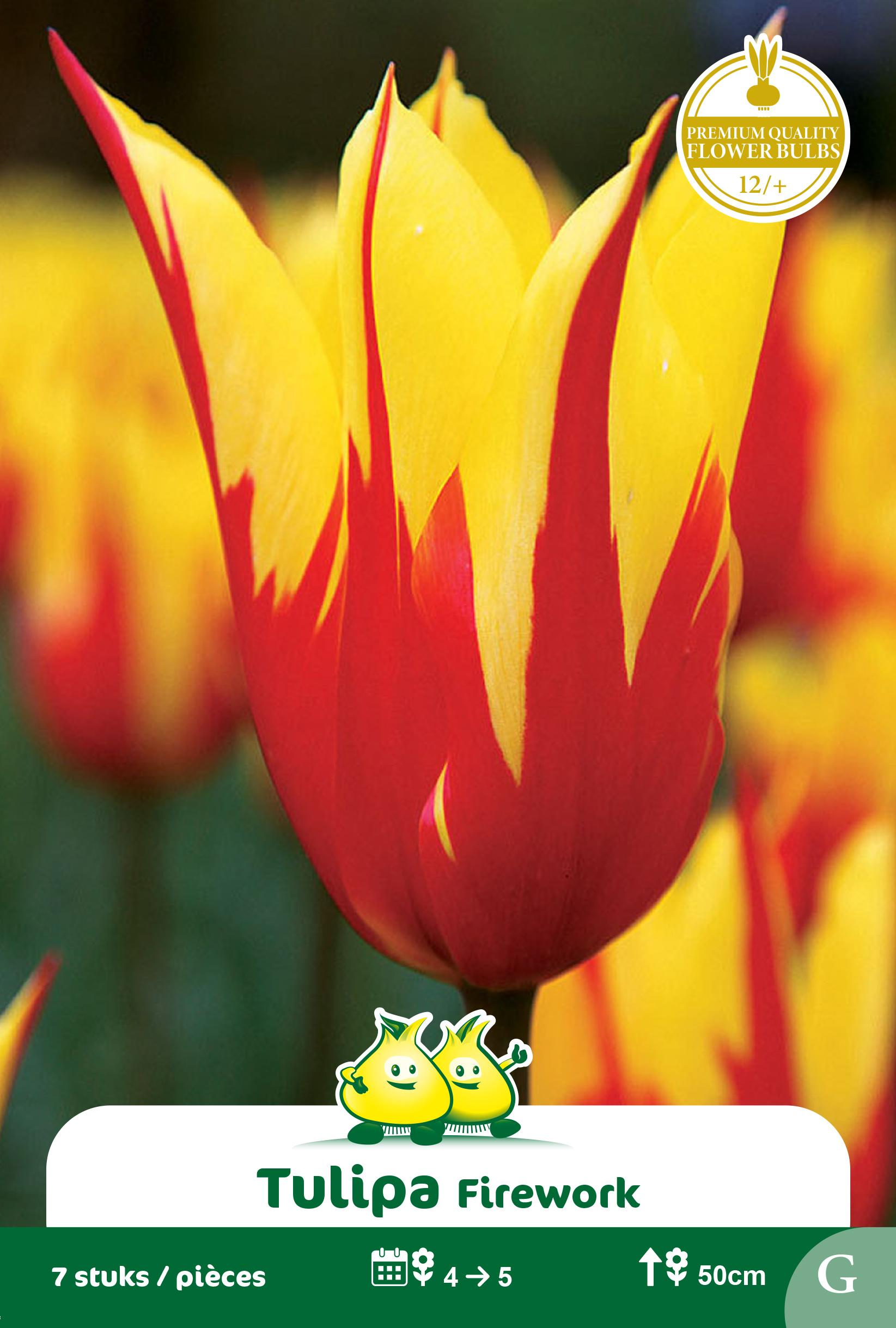 ZAKJES TULPEN LELIEBLOEMIG FIREWORK