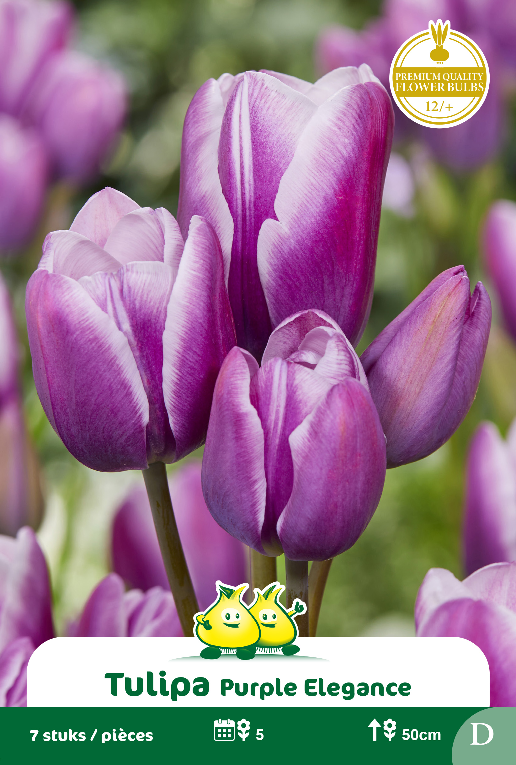 ZAKJES MEERBLOEMIGE PURPLE ELEGANCE