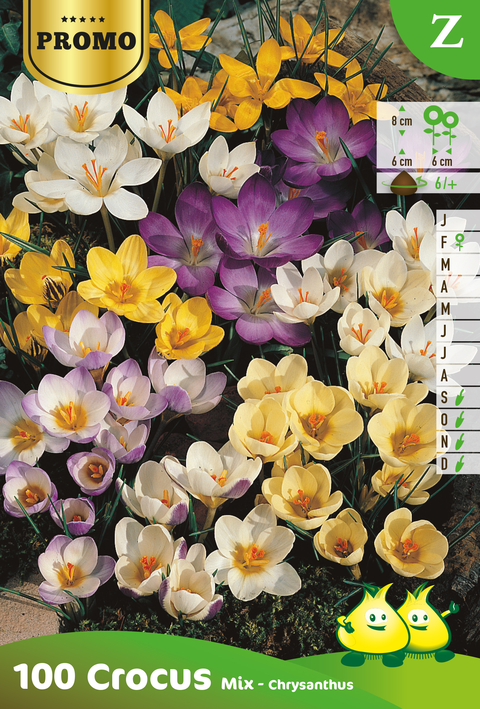 PROMOBOX 25 ZAKJES CROCUS BOTANISCH MIX 60 ST