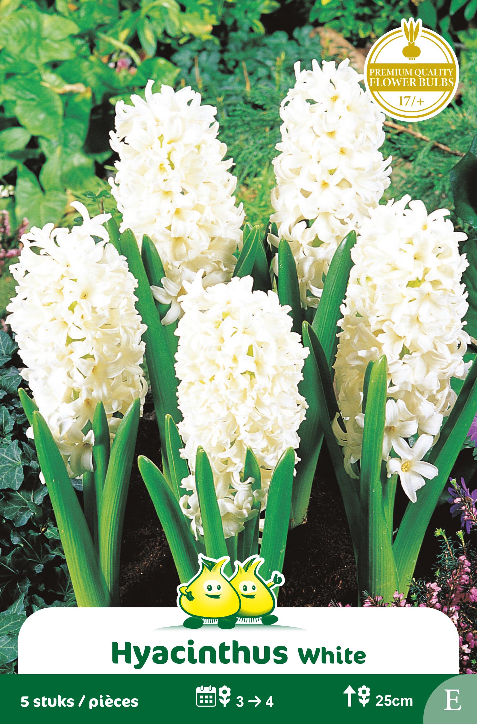ZAKJES HYACINTEN WIT -BLANC CARNEGIE E