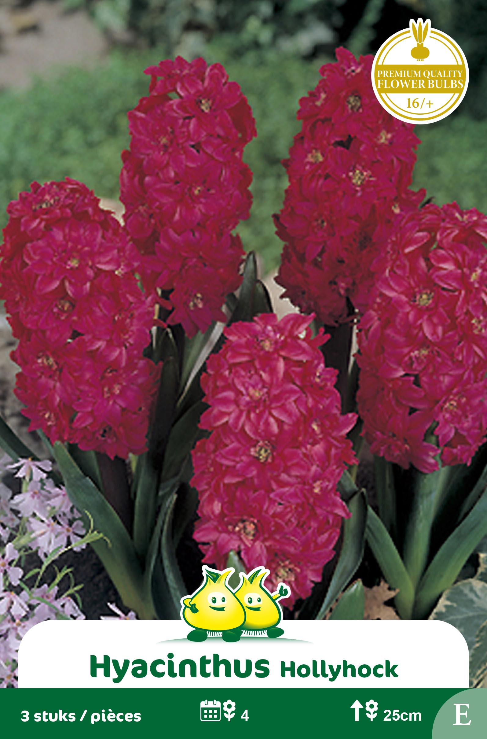 ZAKJES HYACINTEN HOLLYHOCK E
