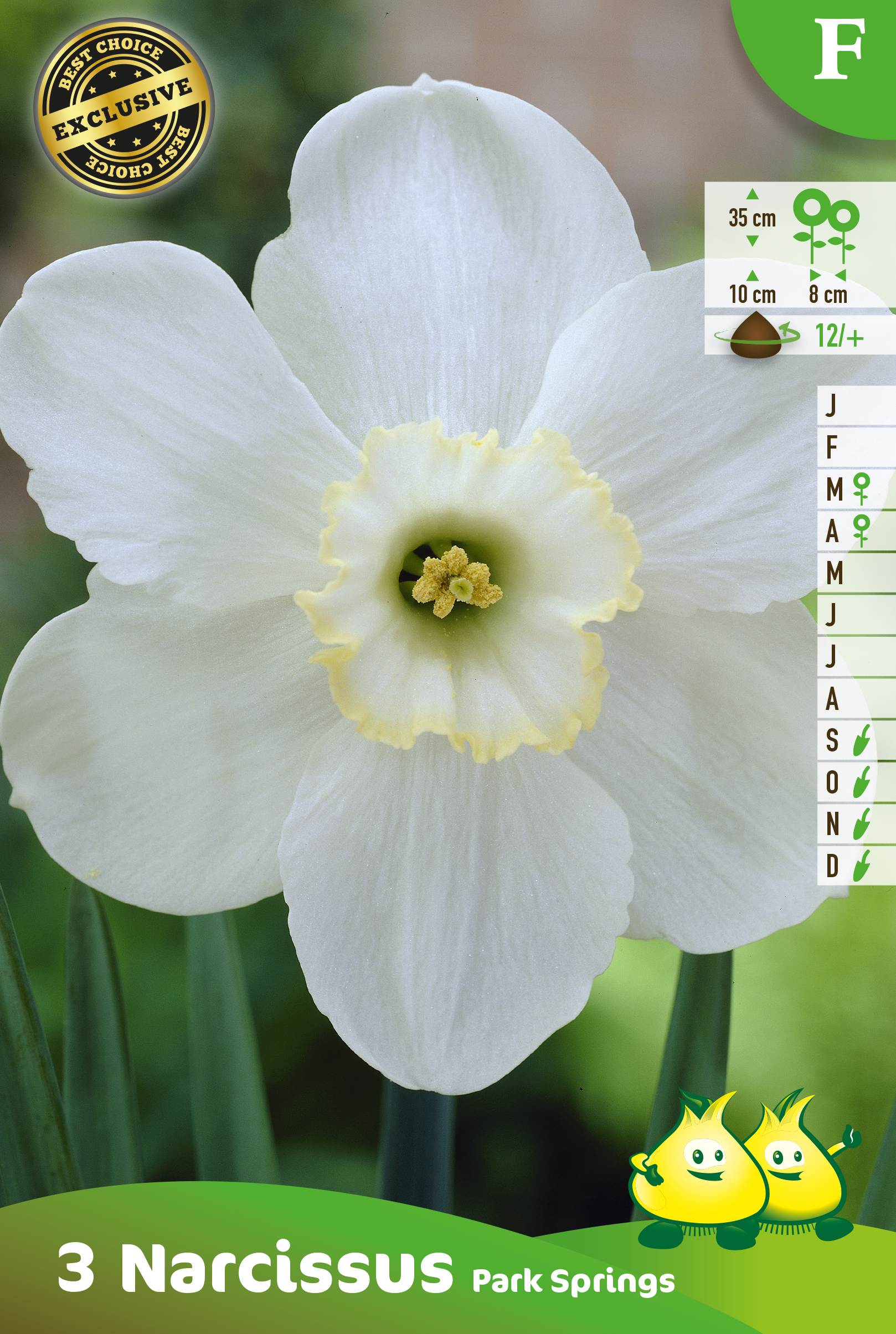 ZAKJES NARCIS PARK SPRINGS F