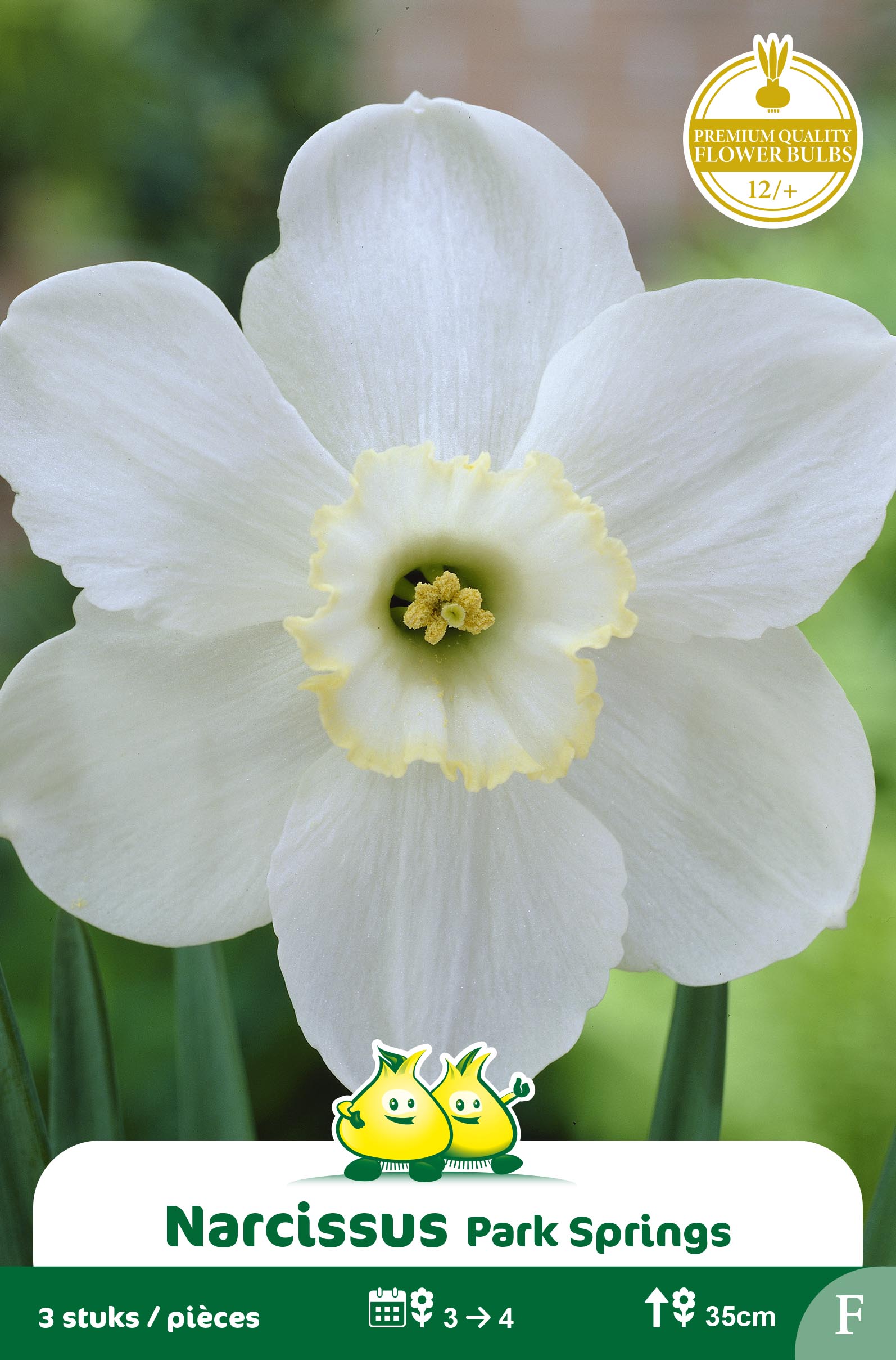 ZAKJES NARCIS PARK SPRINGS F