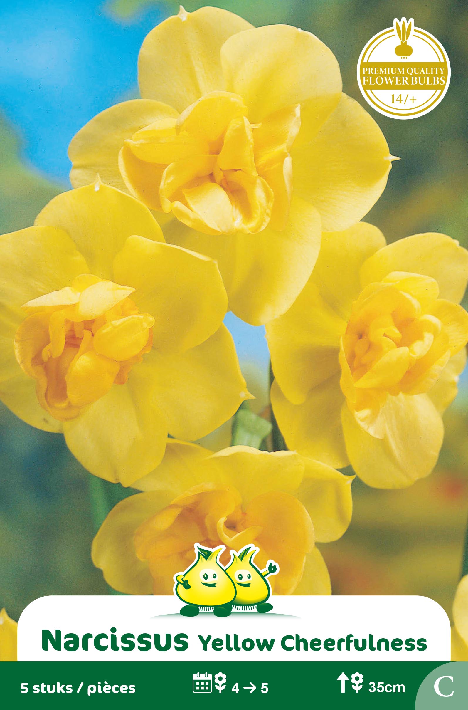 ZAKJES NARCIS YELLOW CHEERFULNESS