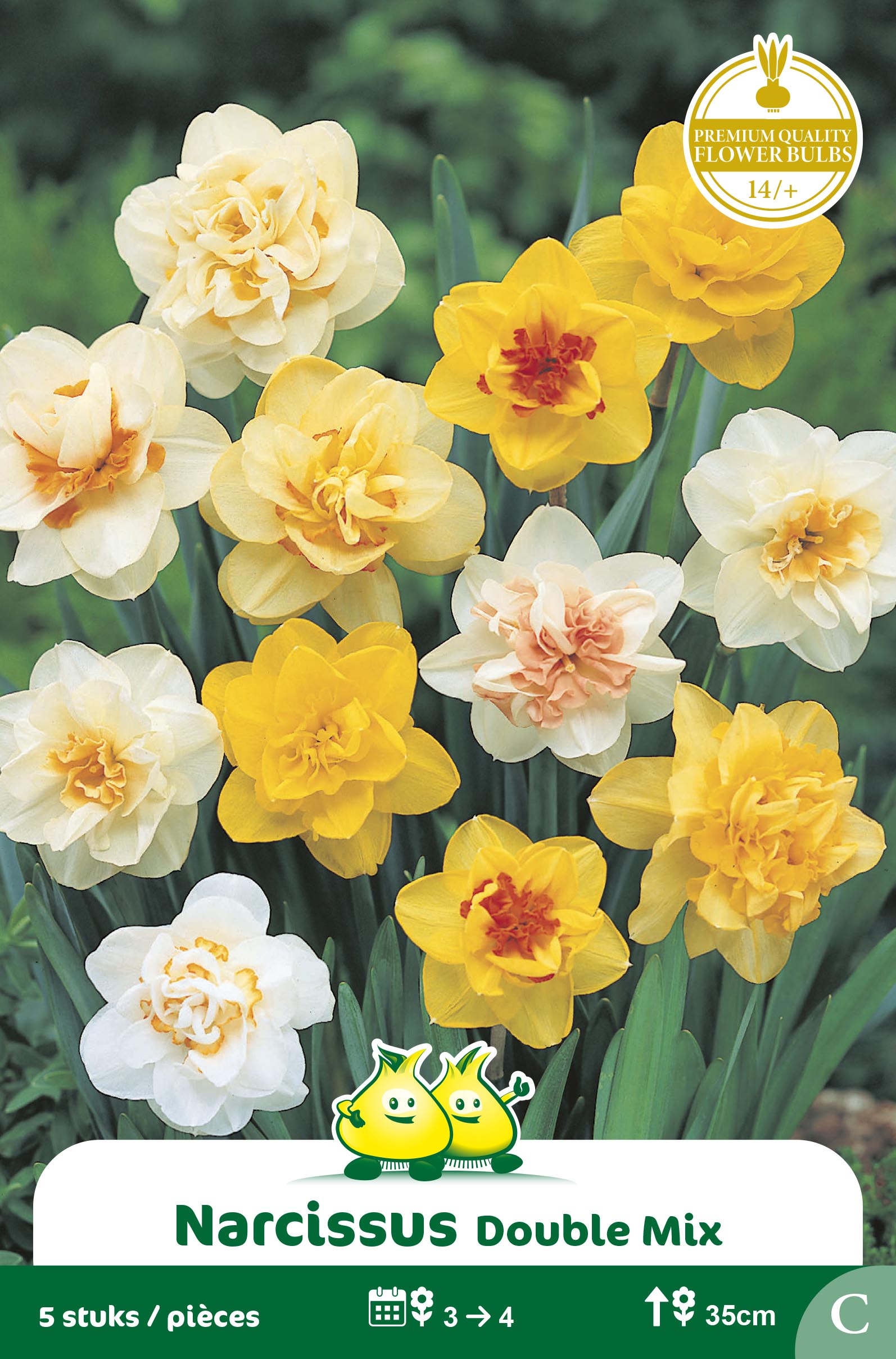 ZAKJES NARCIS DUBBEL MIX