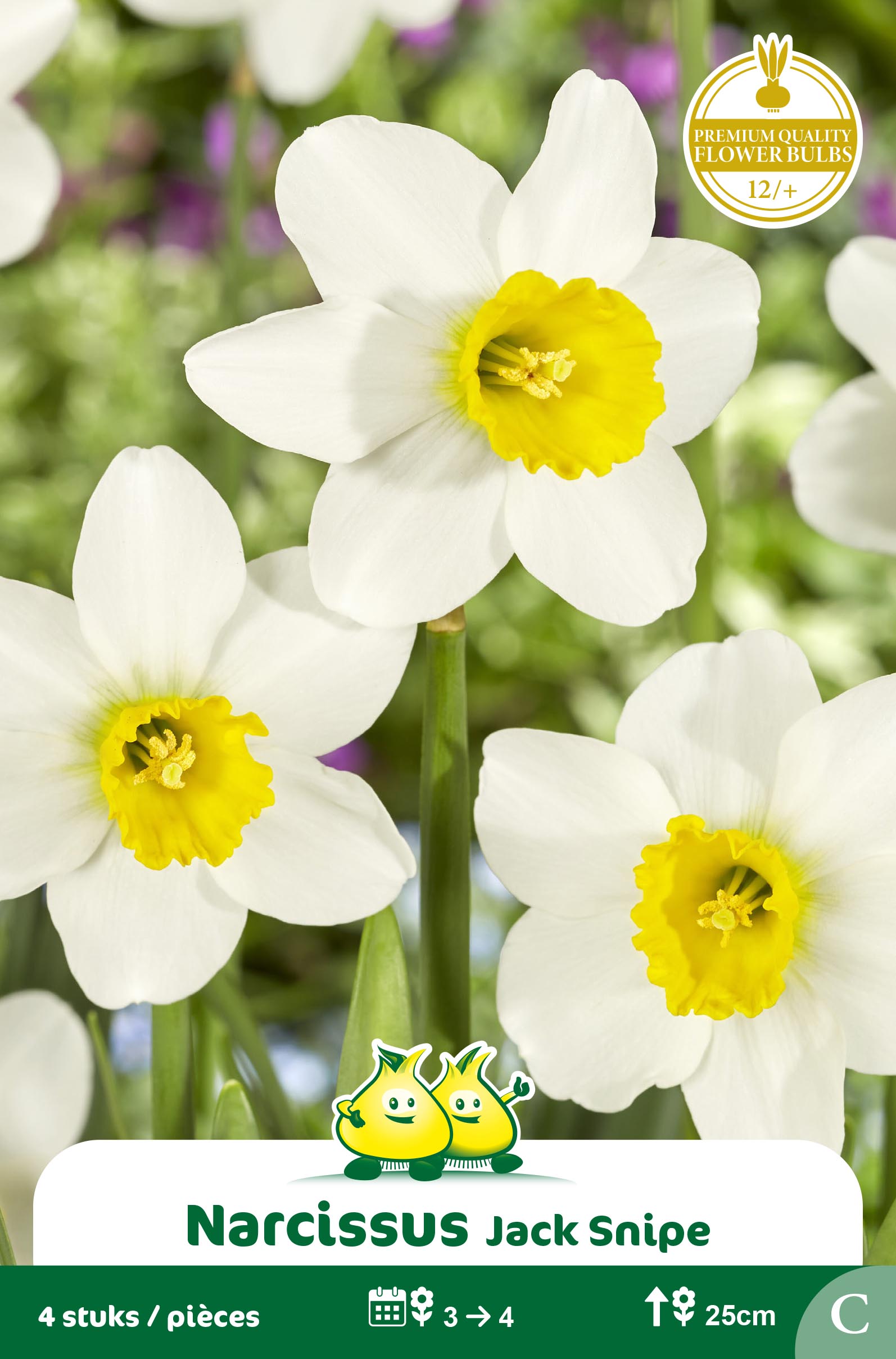 ZAKJES BOTANISCHE NARCISSEN JACK SNIP C
