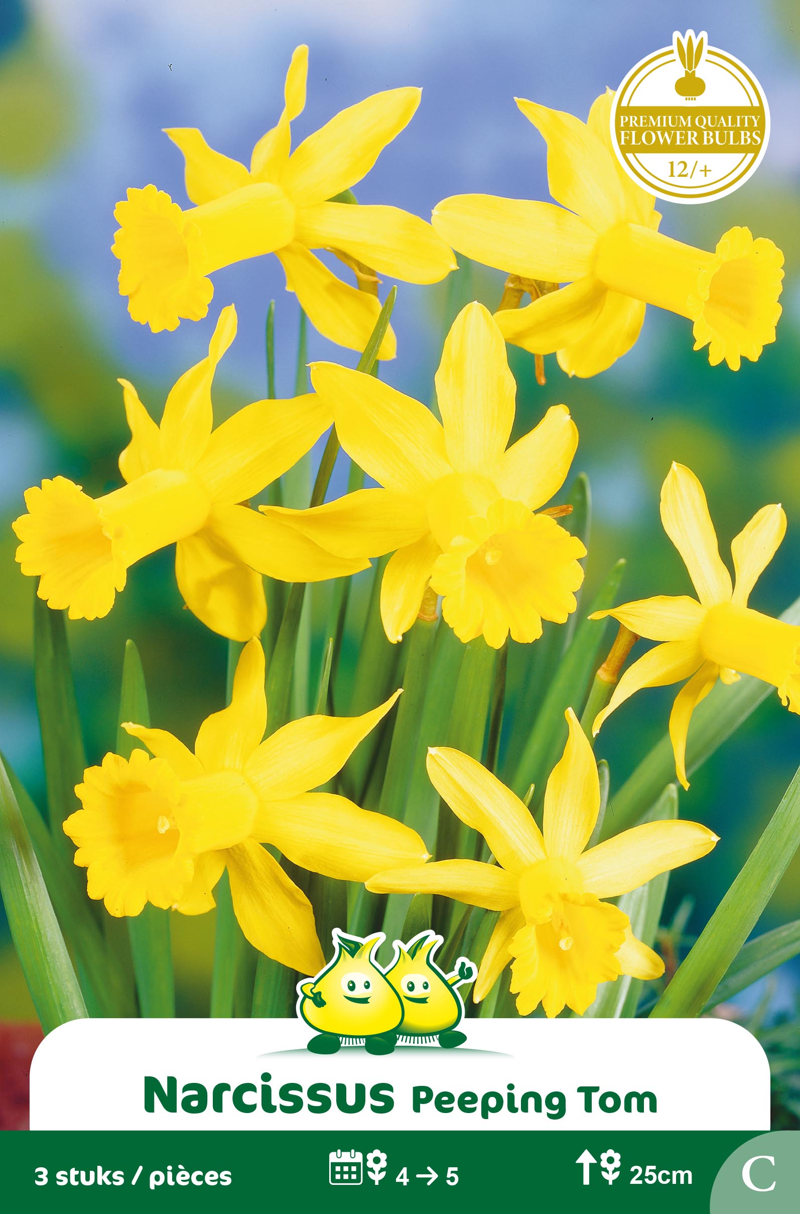 ZAKJES BOTANISCHE NARCISSEN PEEPING TOM C