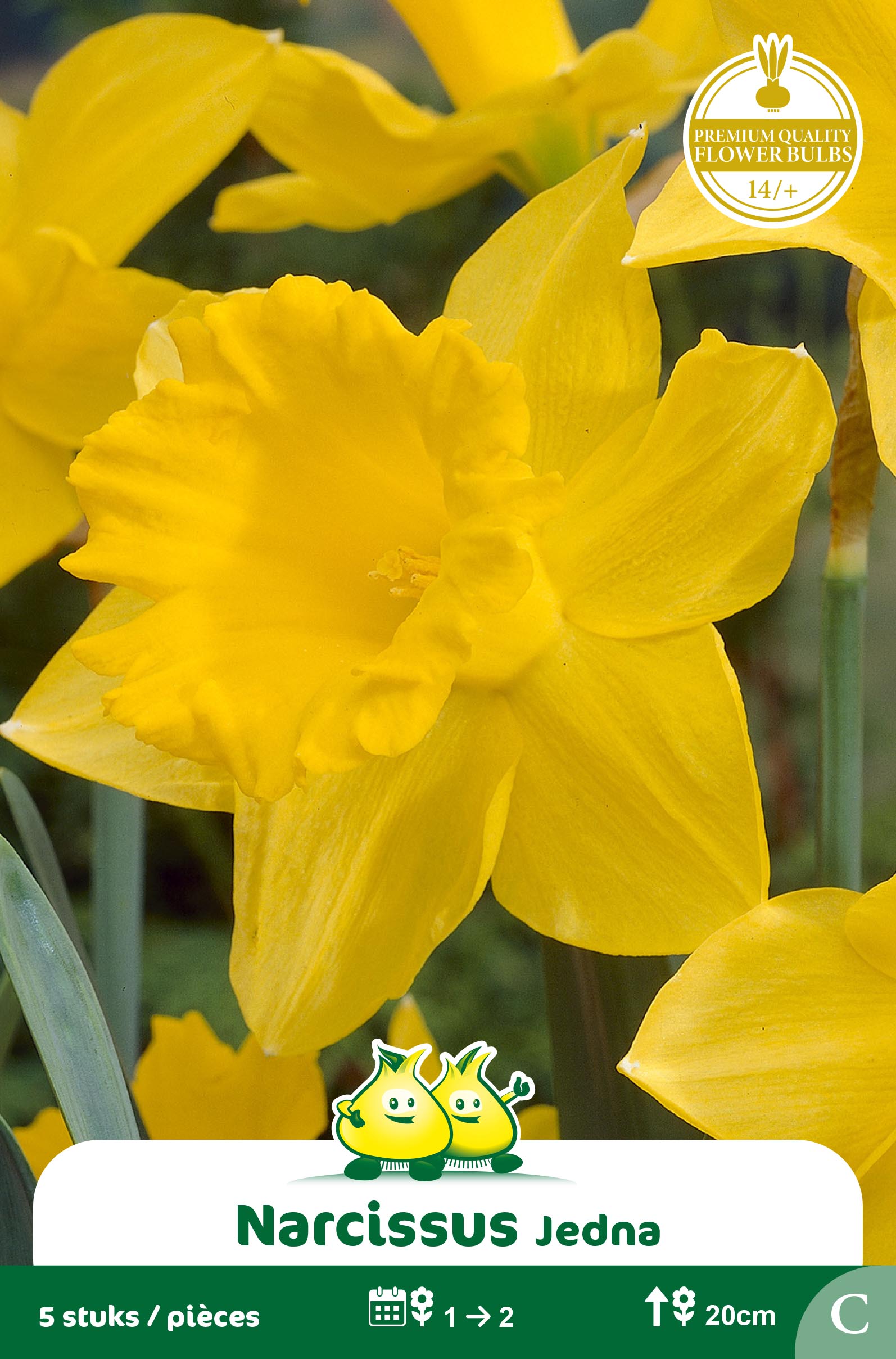 SACHET BOTANIQUE NARCIS  JEDNA C