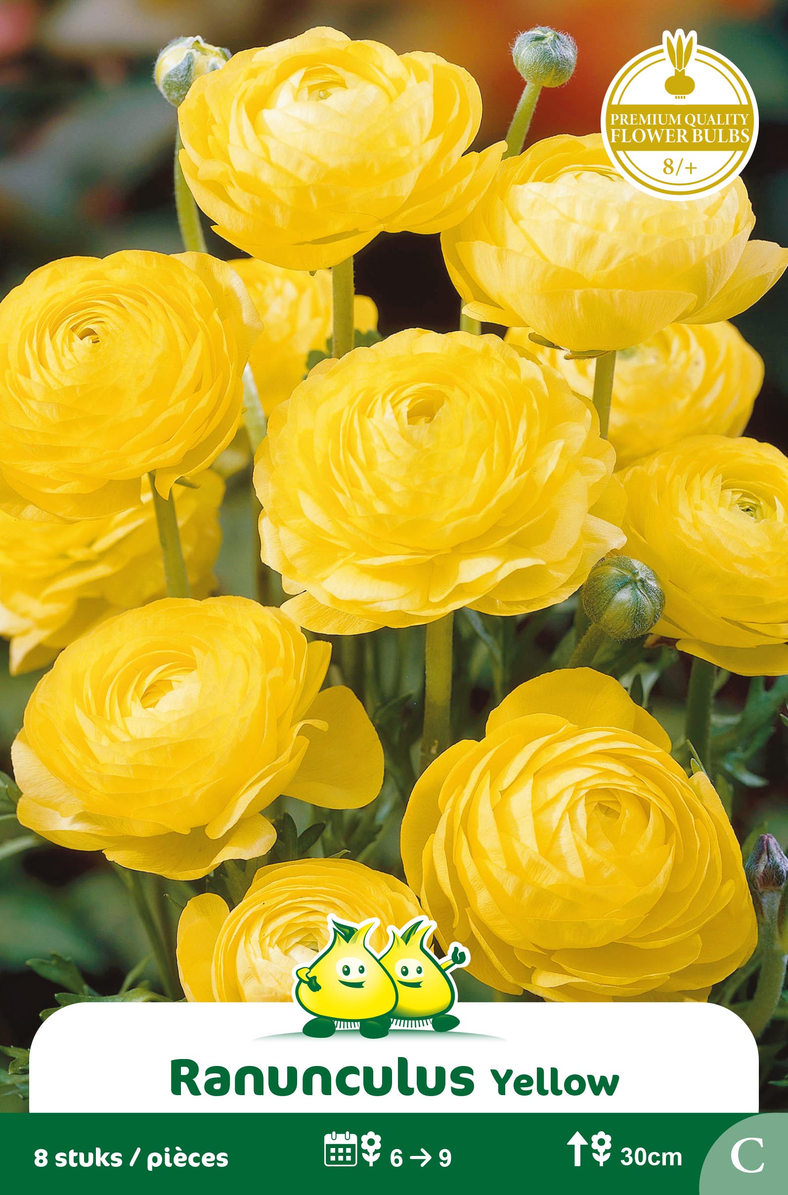 ZAKJES RANONKEL JAUNE