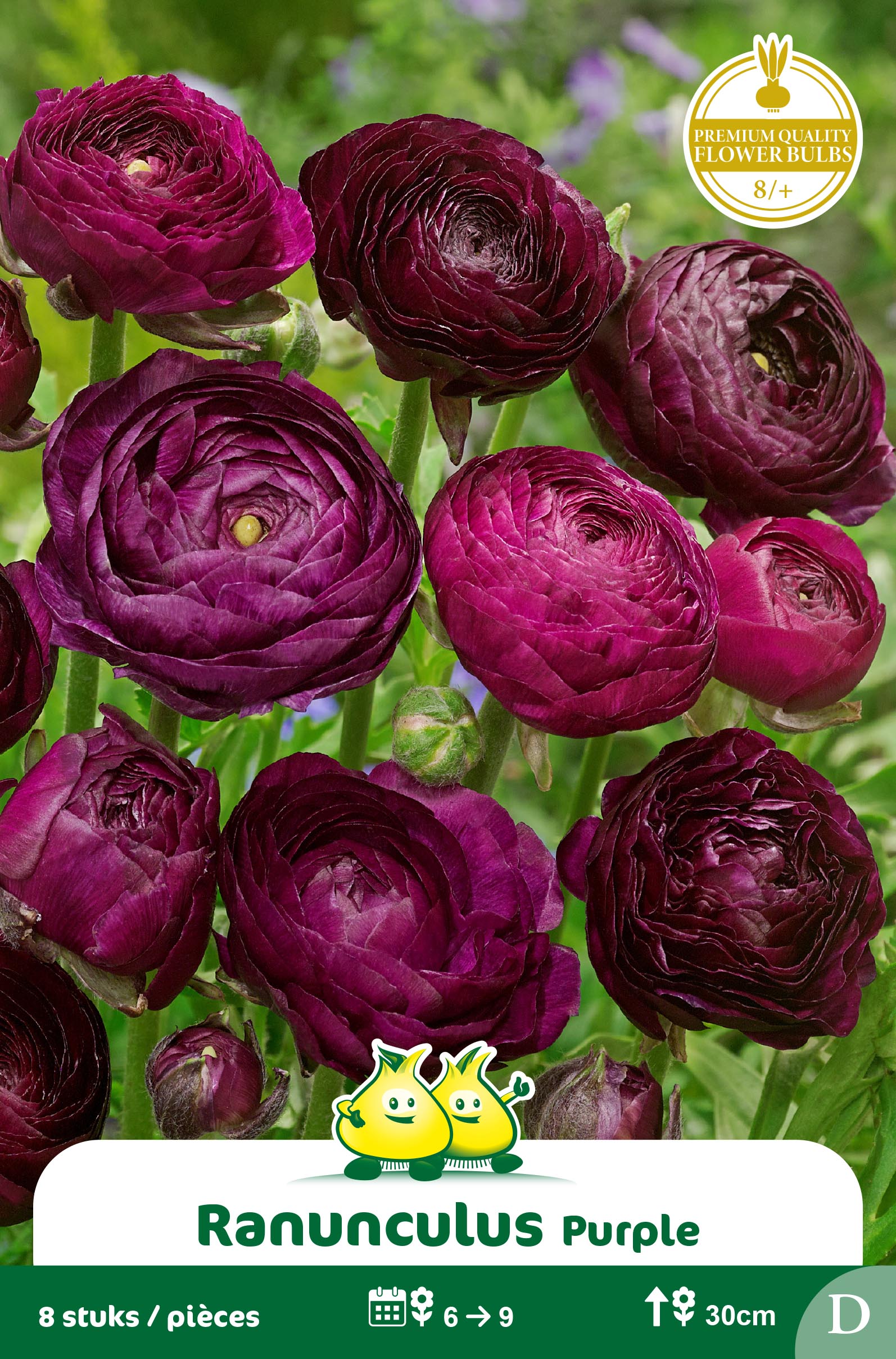 ZAKJES RANONKEL PAARS