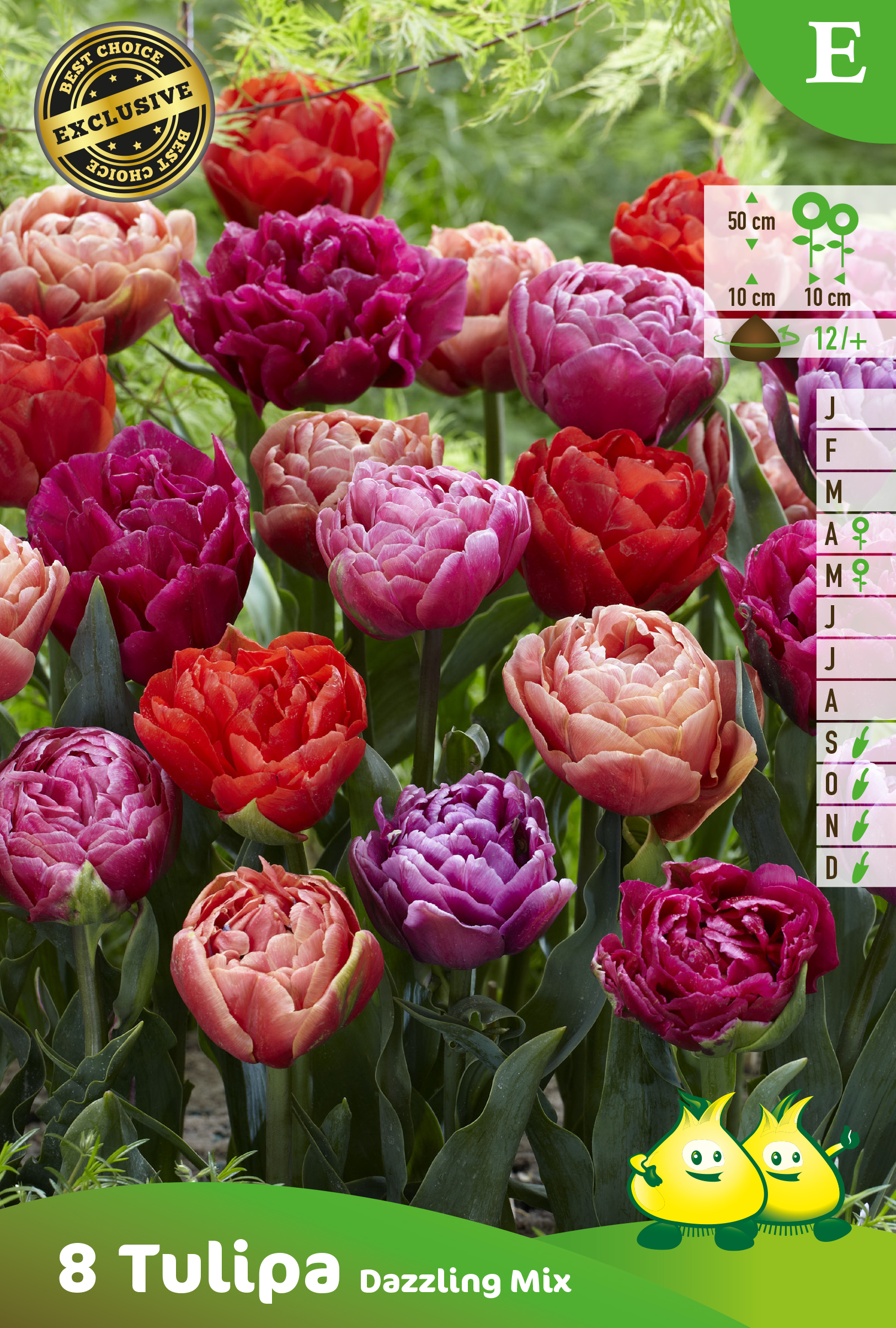 ZAKJES DUBBELE TULPEN DAZZLING MIX   ESACHET TULIPES DOUBLE DAZZLING MIX   E