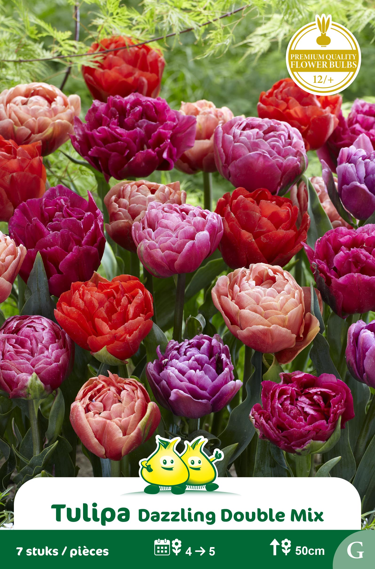ZAKJES DUBBELE TULPEN DAZZLING MIX ESACHET TULIPES DOUBLE DAZZLING MIX E
