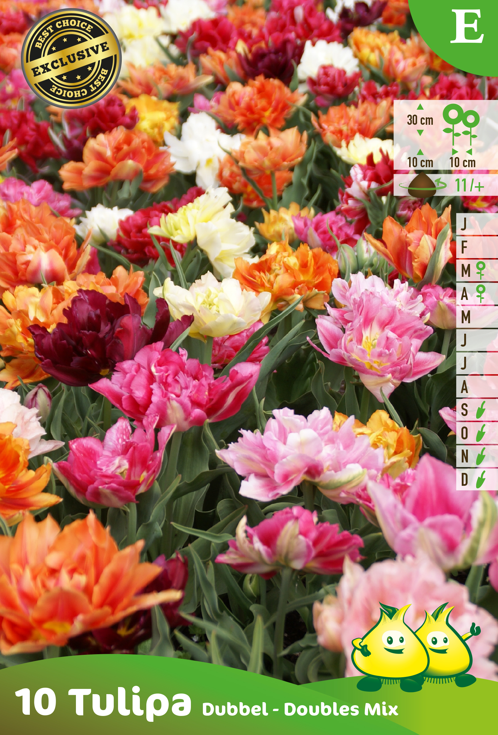 ZAKJES DUBBELE VROEGE TULPEN MIX E