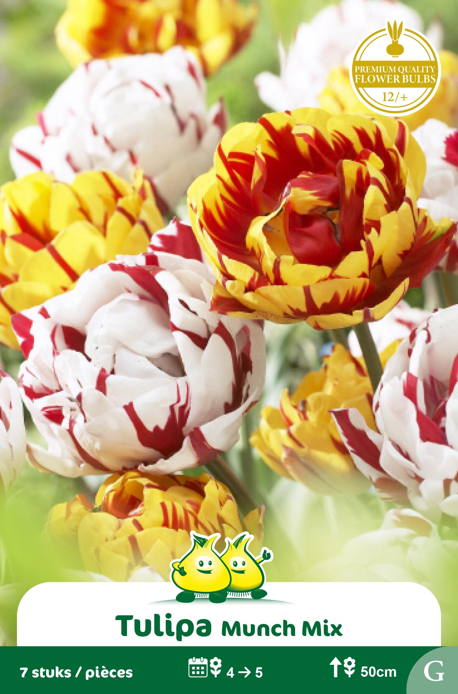 ZAKJES DUO TULPEN CARNAVAL DE NICE GOLDEN NIZ