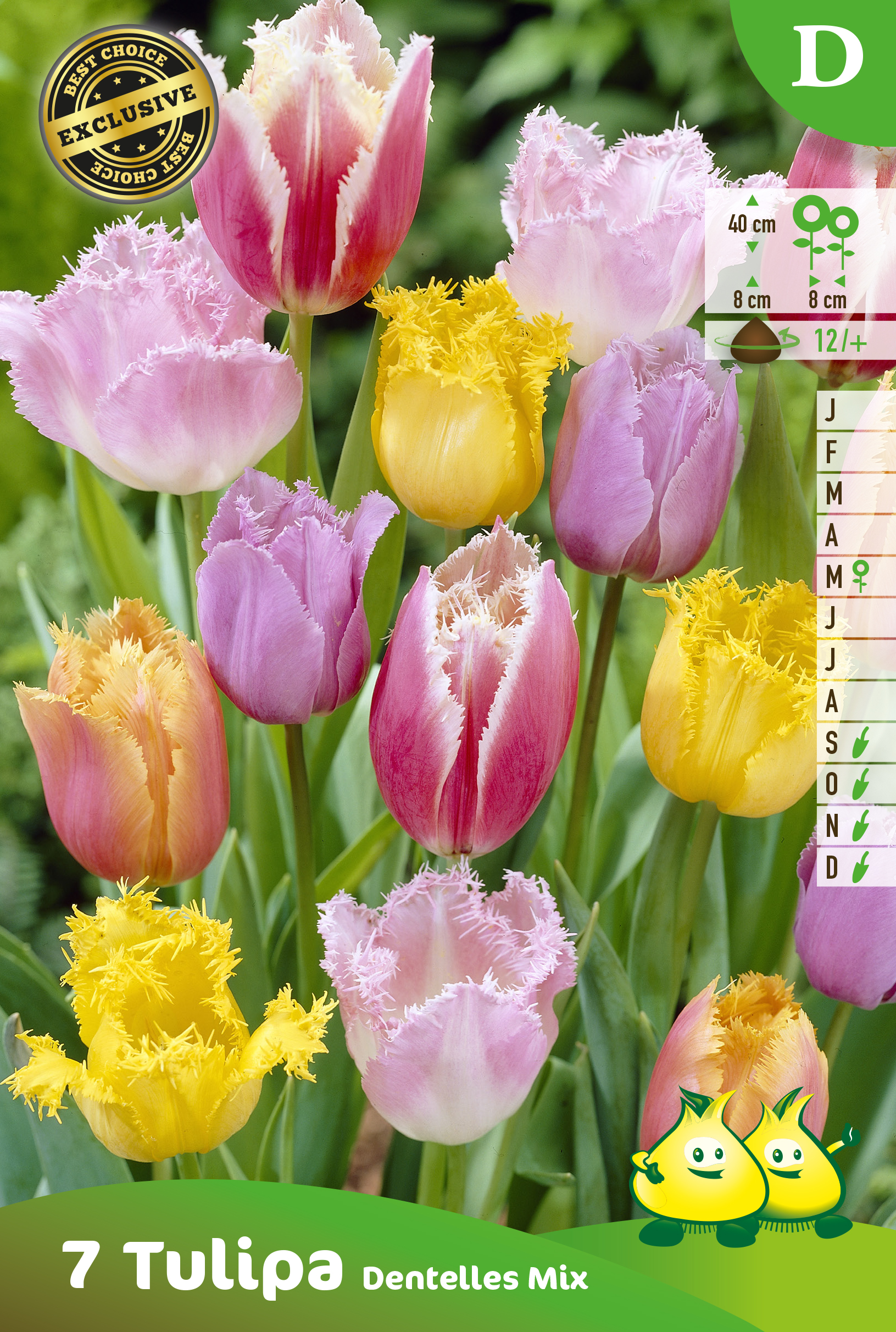 SACHET TULIPES FRISÃ‰E MIX