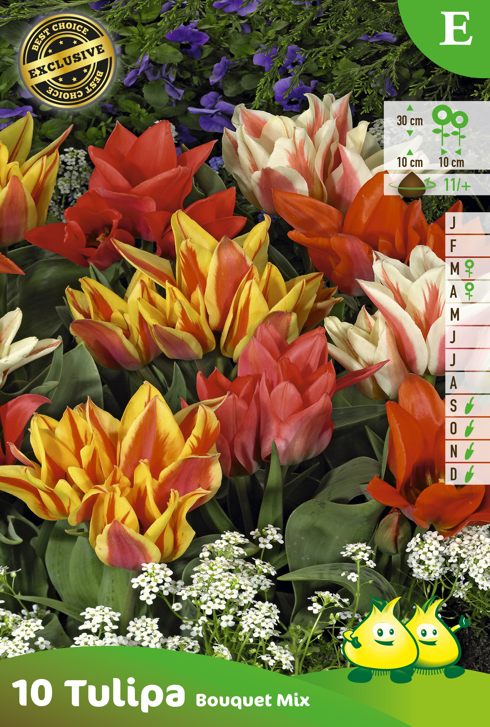SACHET TULIPES BOUQUET MIX 