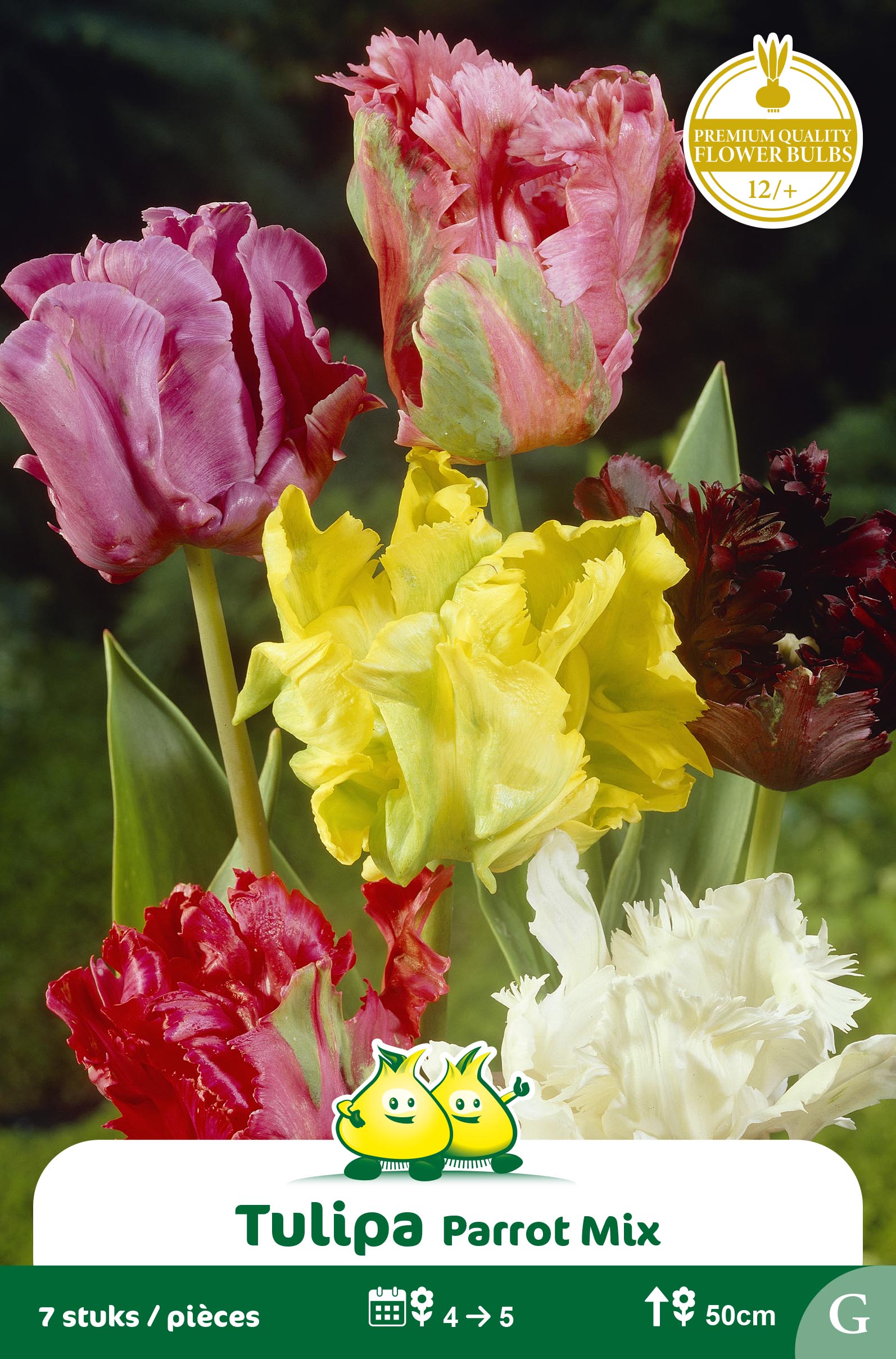 SACHET PEROQUET MIX F
