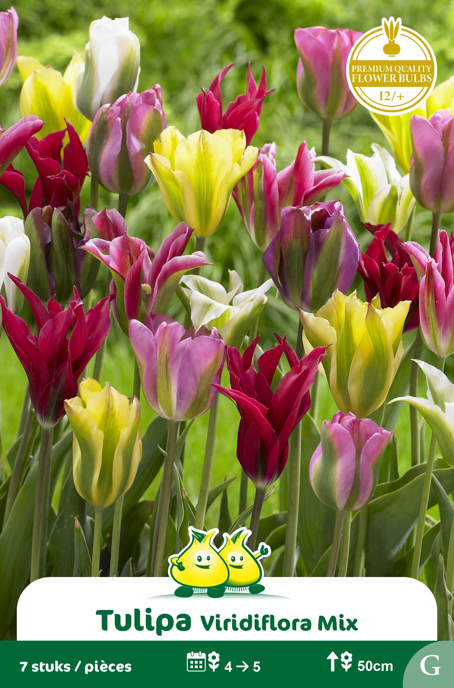 SACHET VIRIDIFLORA MIX  G