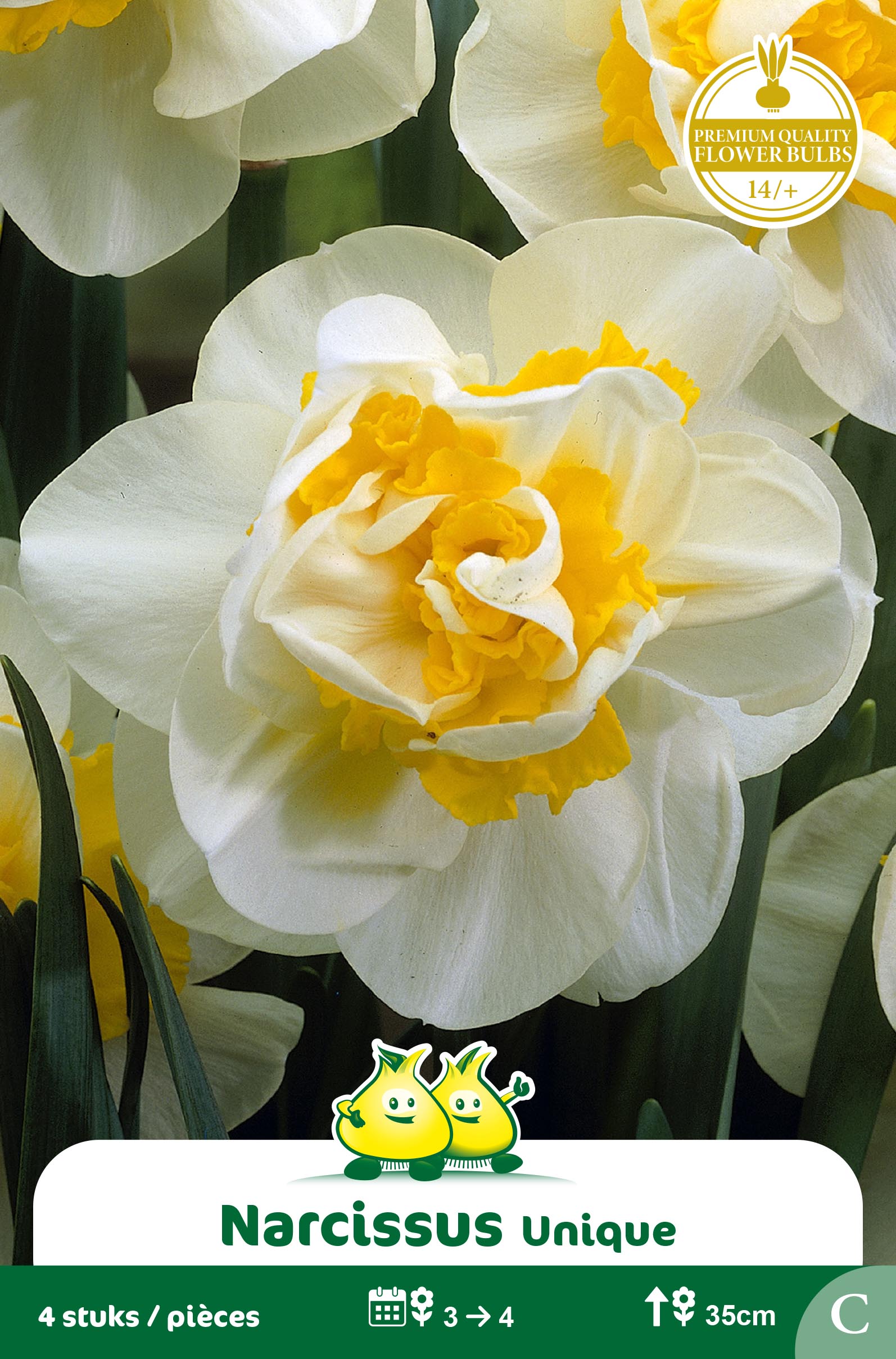 ZAKJES NARCIS UNIQUE
