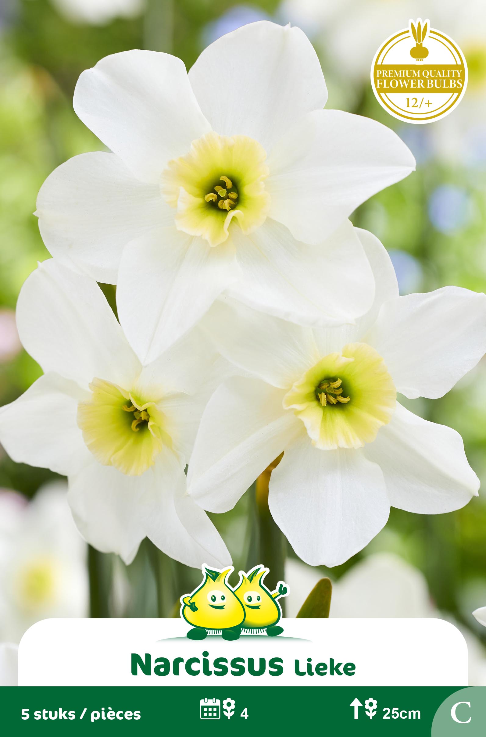 SACHET BOTANIQUE NARCIS  LIEKE C