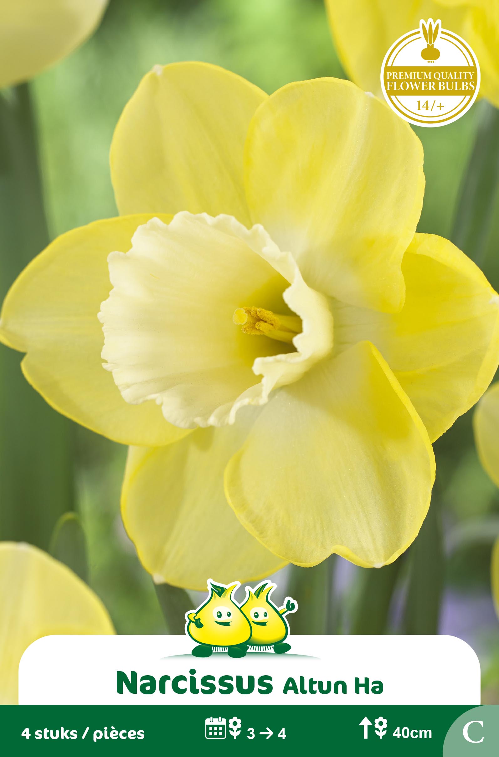 ZAKJES NARCIS ALTUN HA C