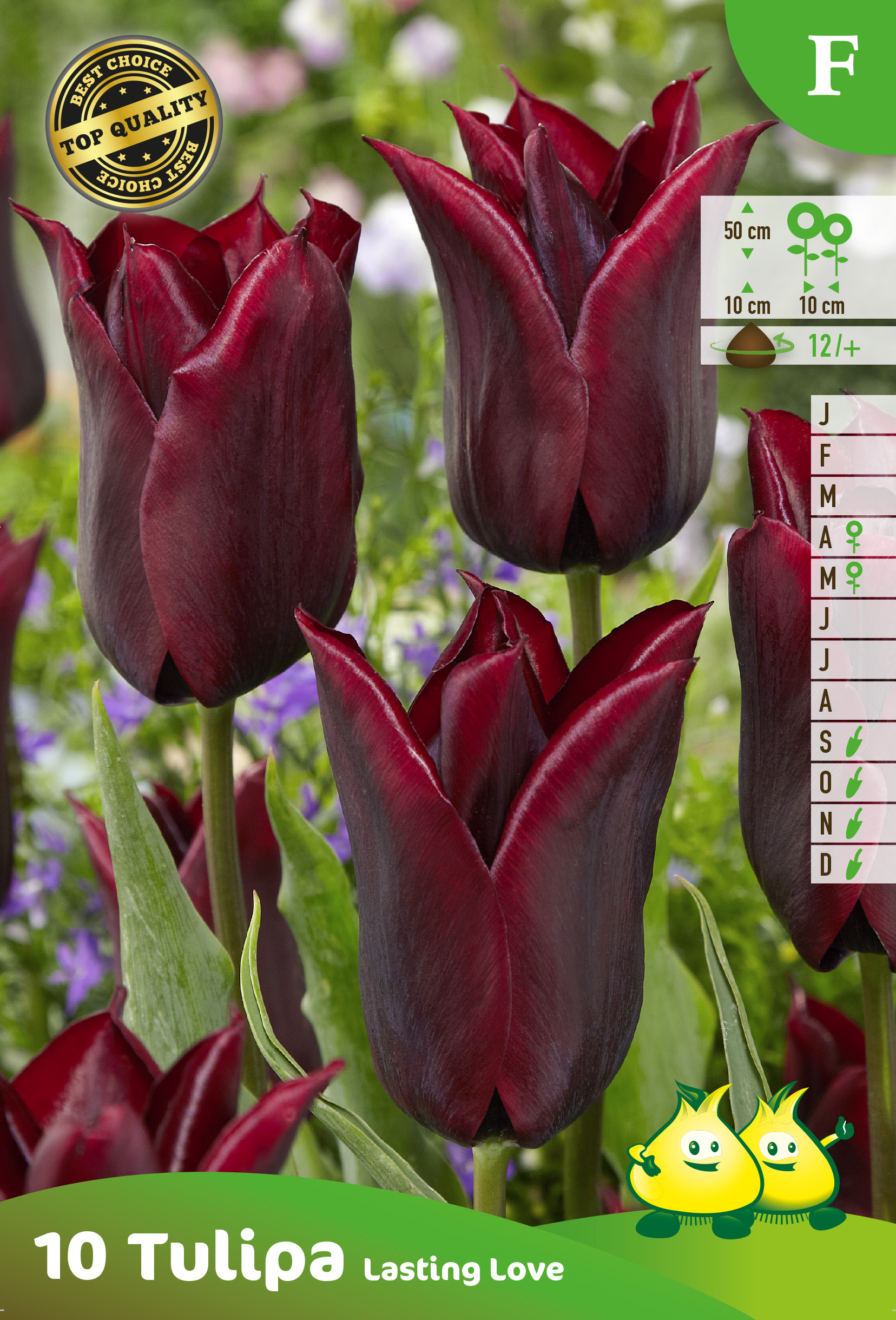 SACHET TULIPES FLEUR DE LIS LASTING LOVE