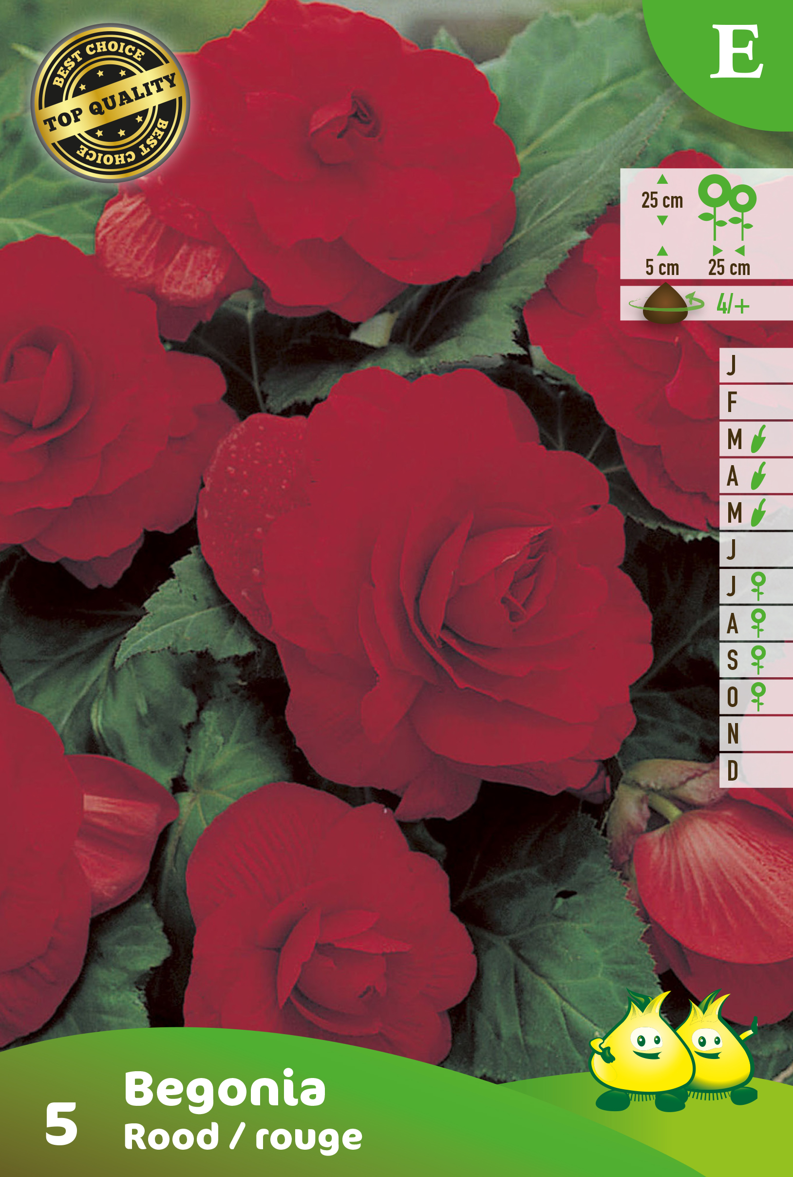 ZAKJES DUBBELE BEGONIAS ROOD E