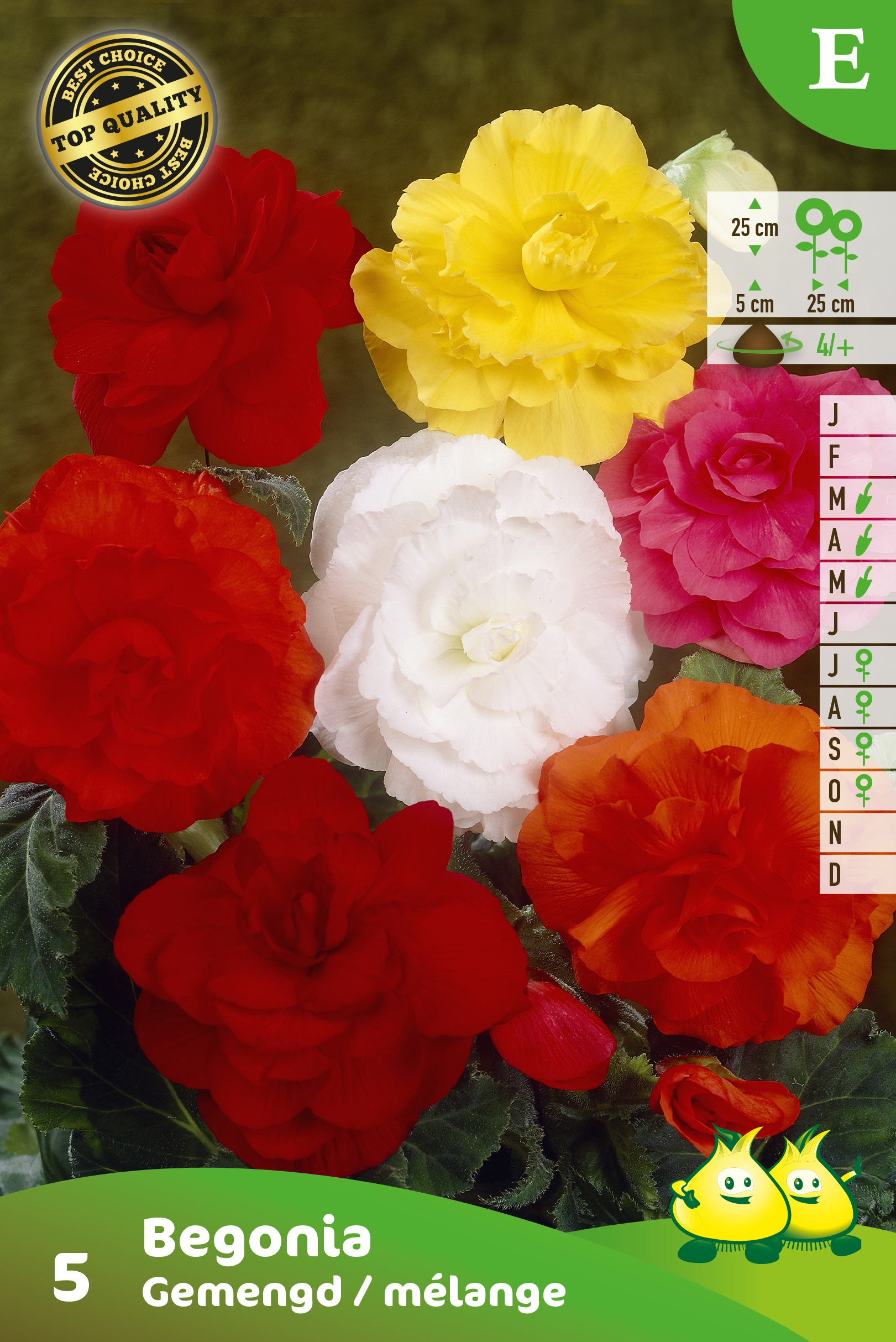 SACHET BEGONIA DOUBLE MIX E