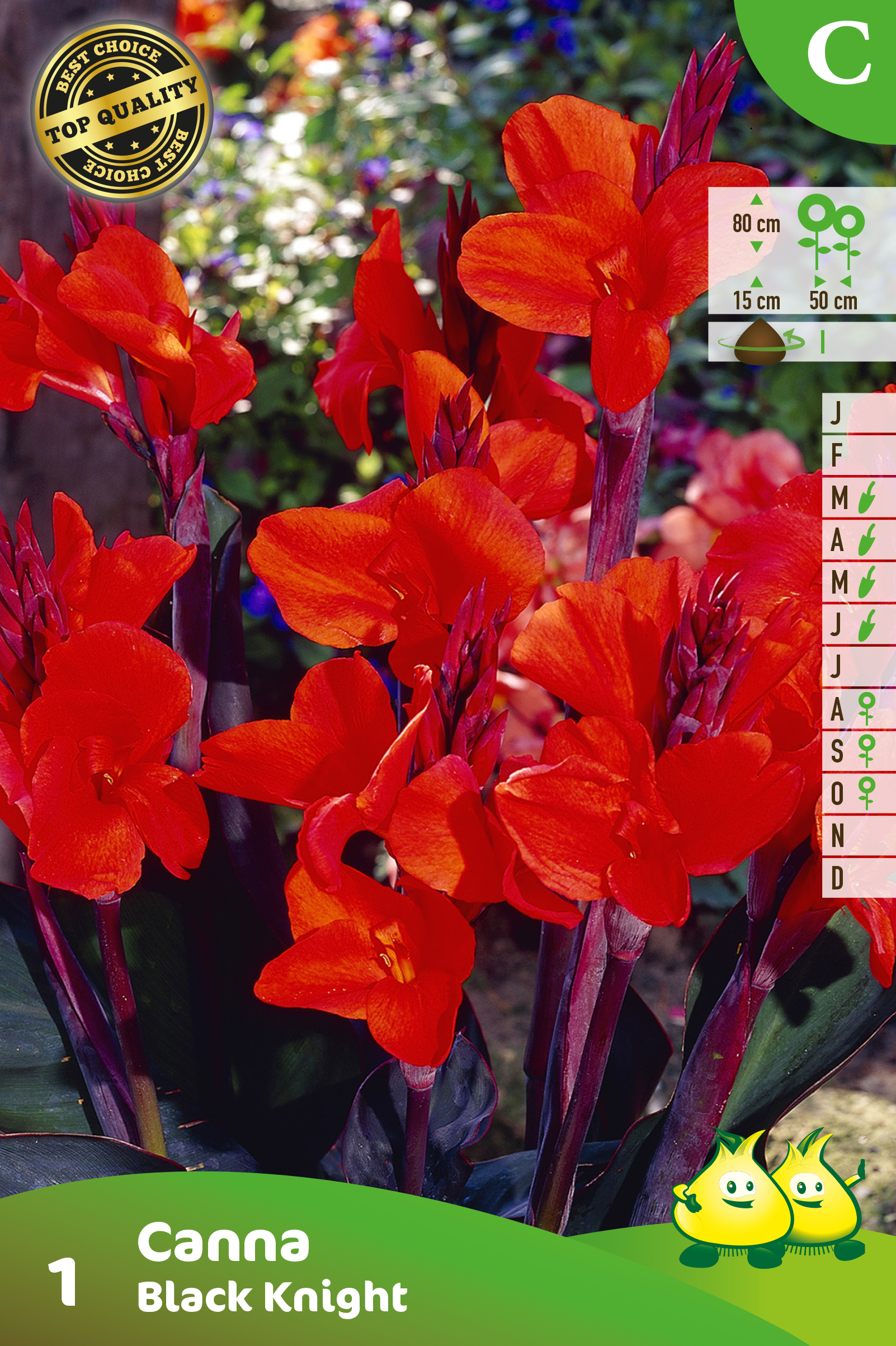 ZAKJES CANNA BLACK KNIGHT C